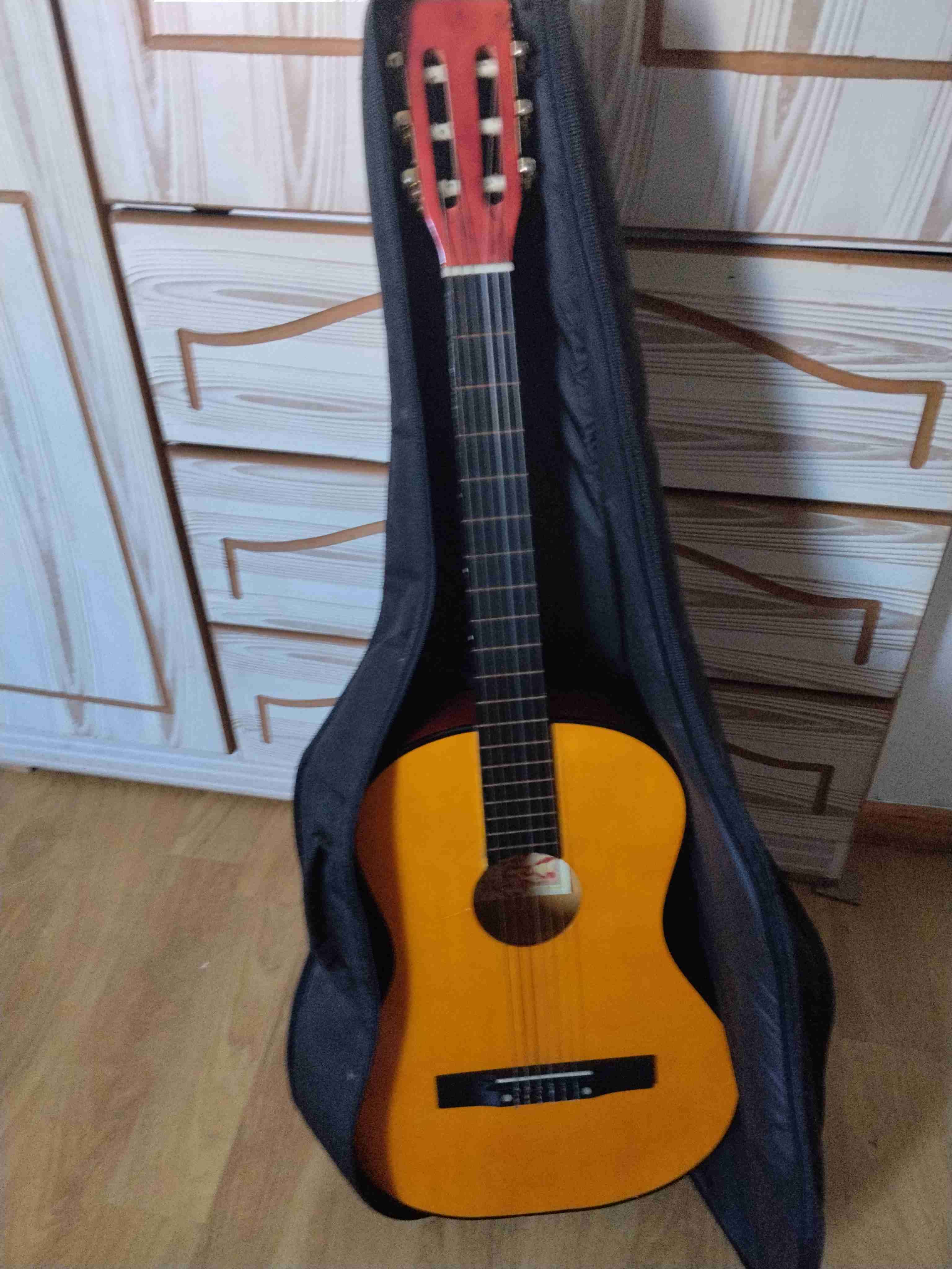 Guitarra y funda - miniatura 2