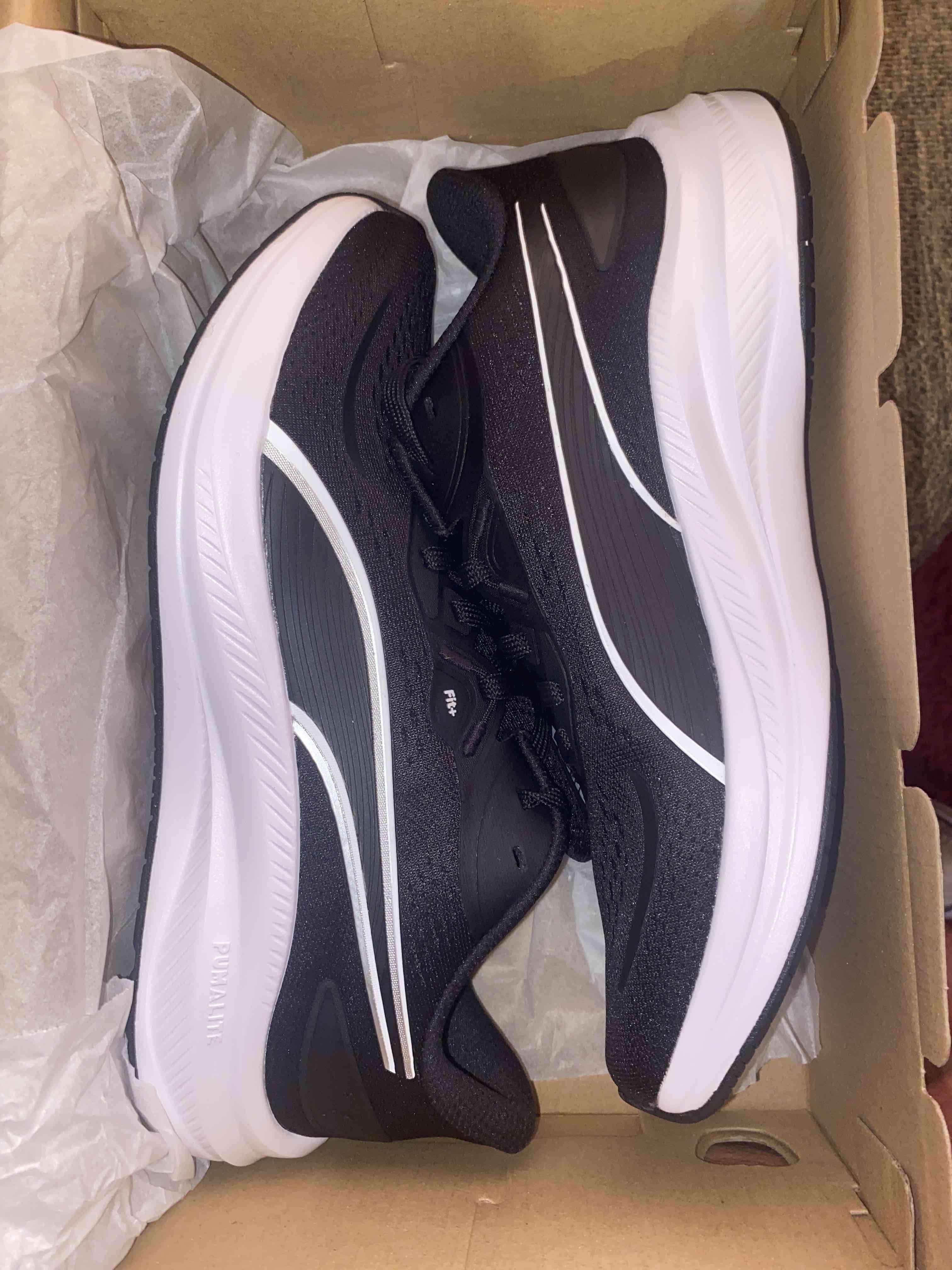 Zapatillas Skyrocket Lite 2