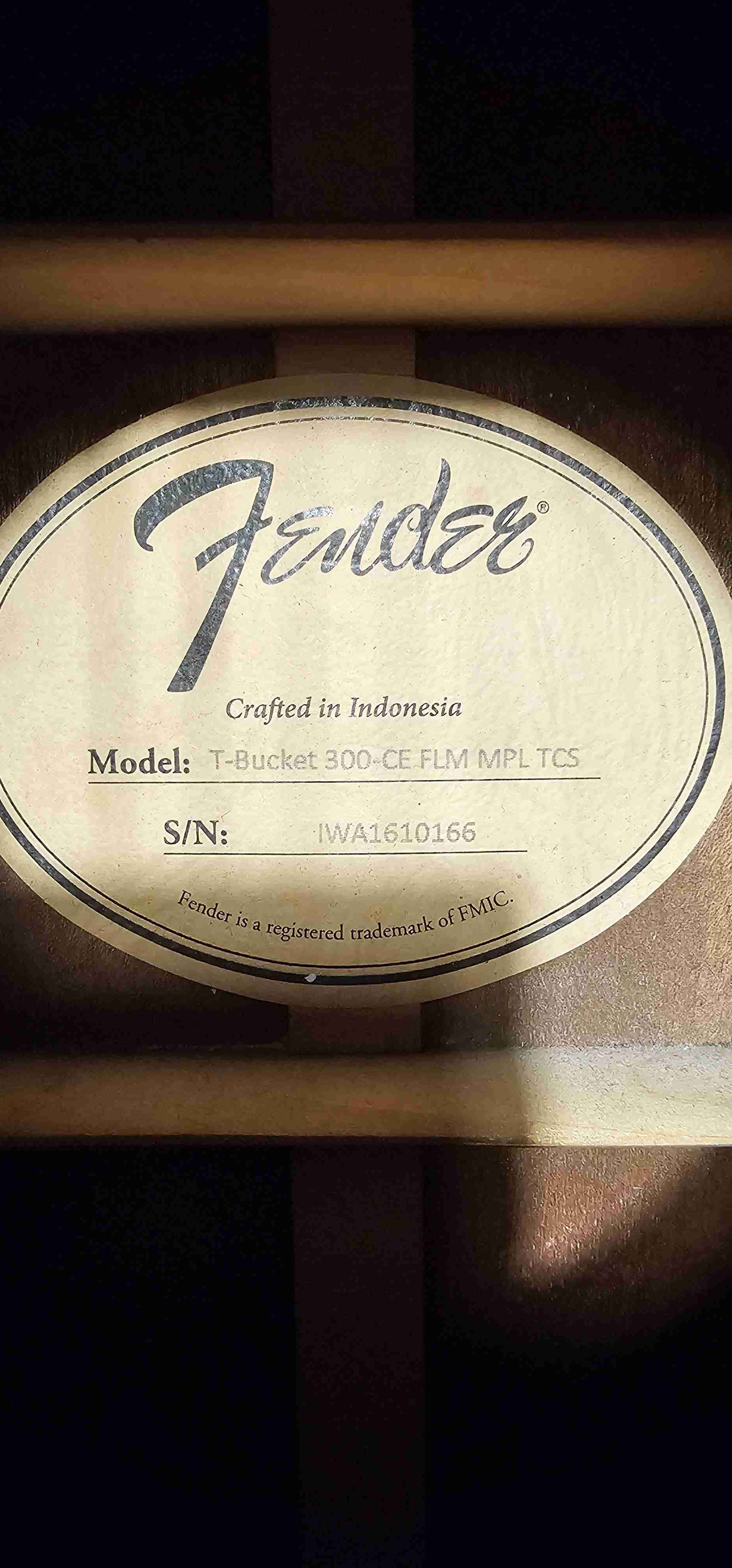 Electroacústica Fender the Bucket - miniatura 2