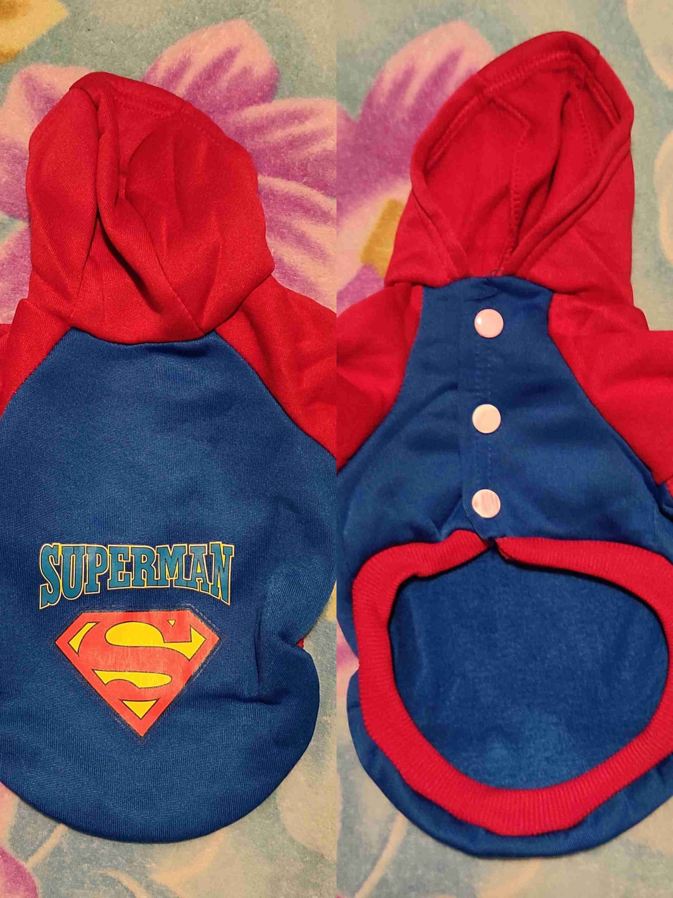 Disfraz de perro Superman
