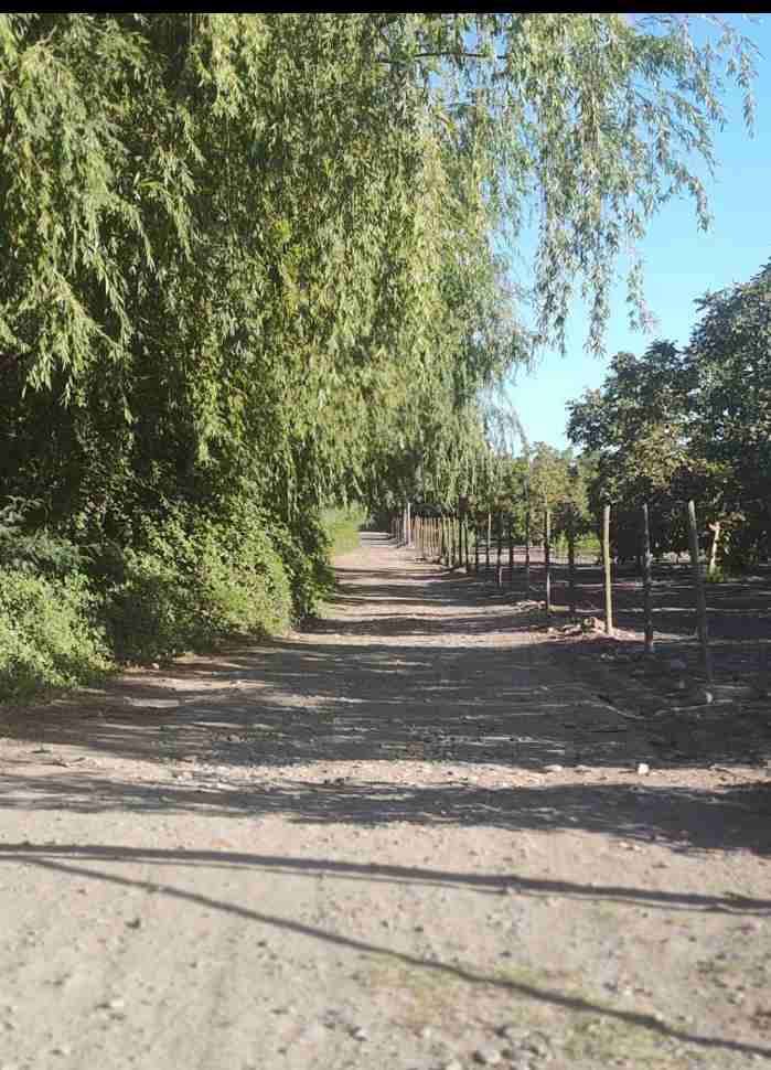 Se vende parcela - miniatura 3