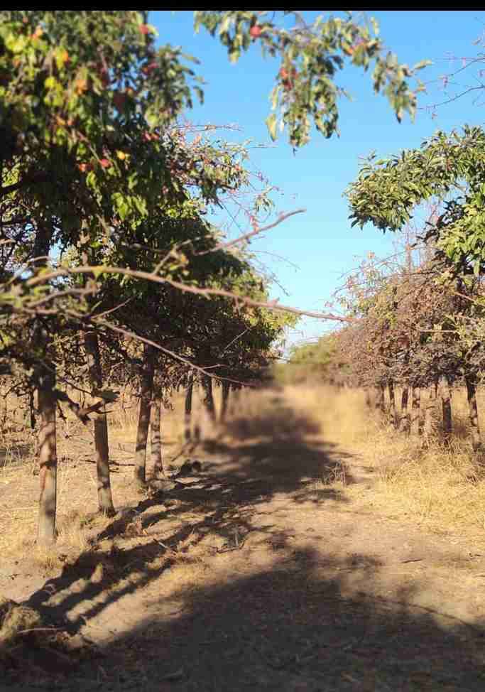 Se vende parcela - miniatura 5