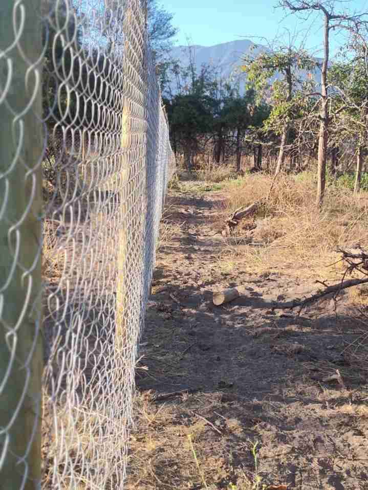 Se vende parcela - miniatura 6