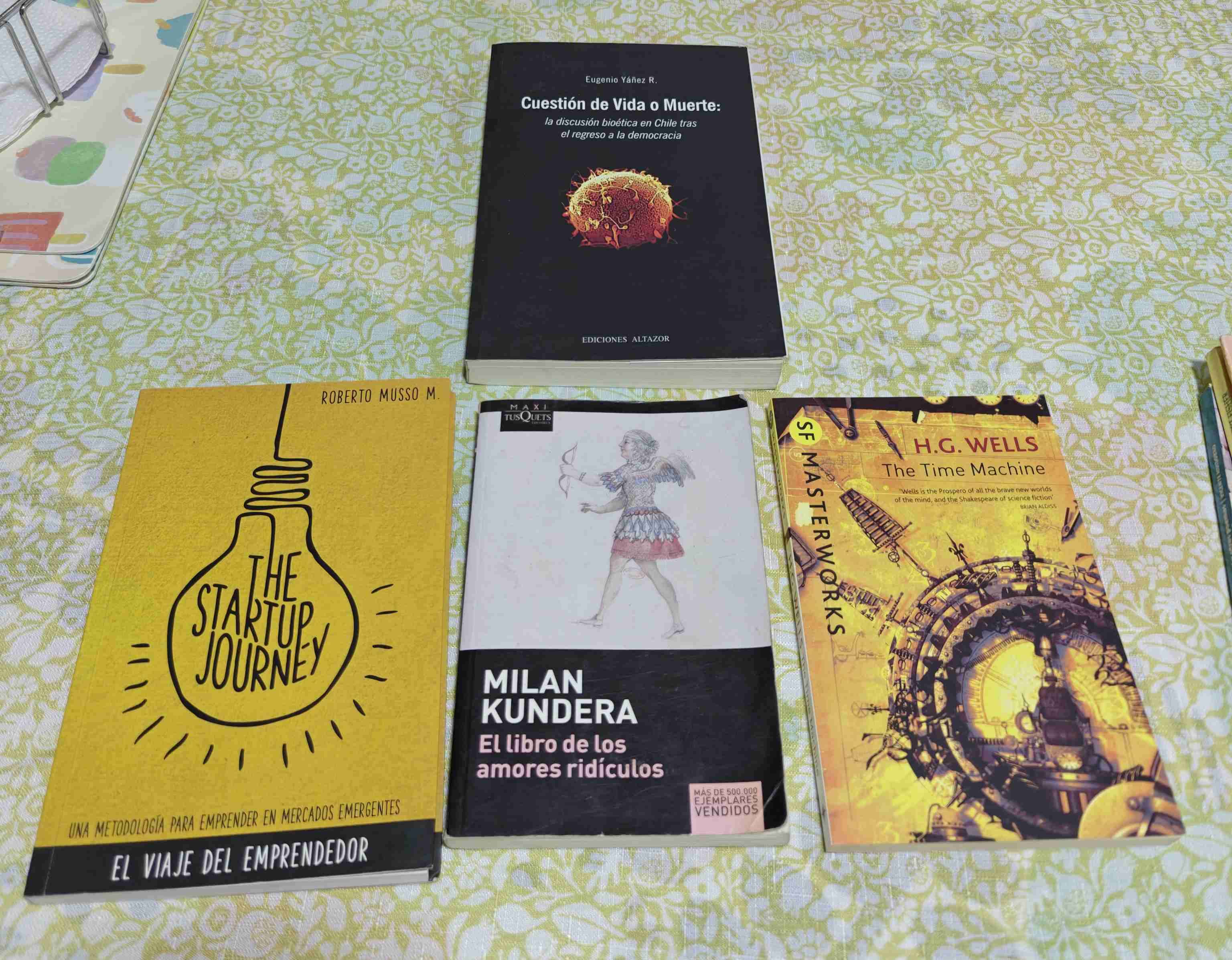 Lote de libros variados