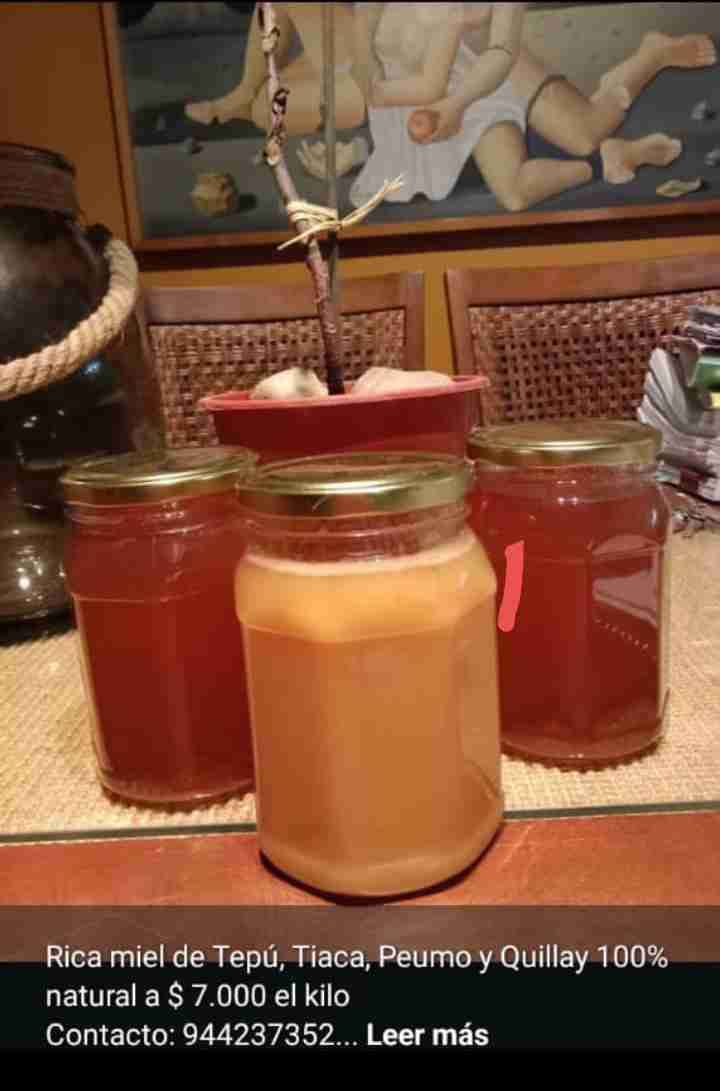 Frascos de miel natural y orgánica