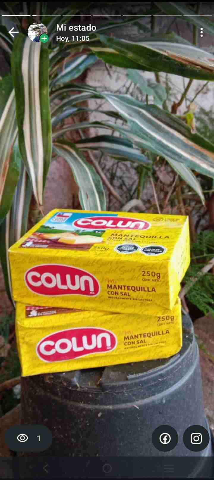 Frascos de miel natural y orgánica - 4