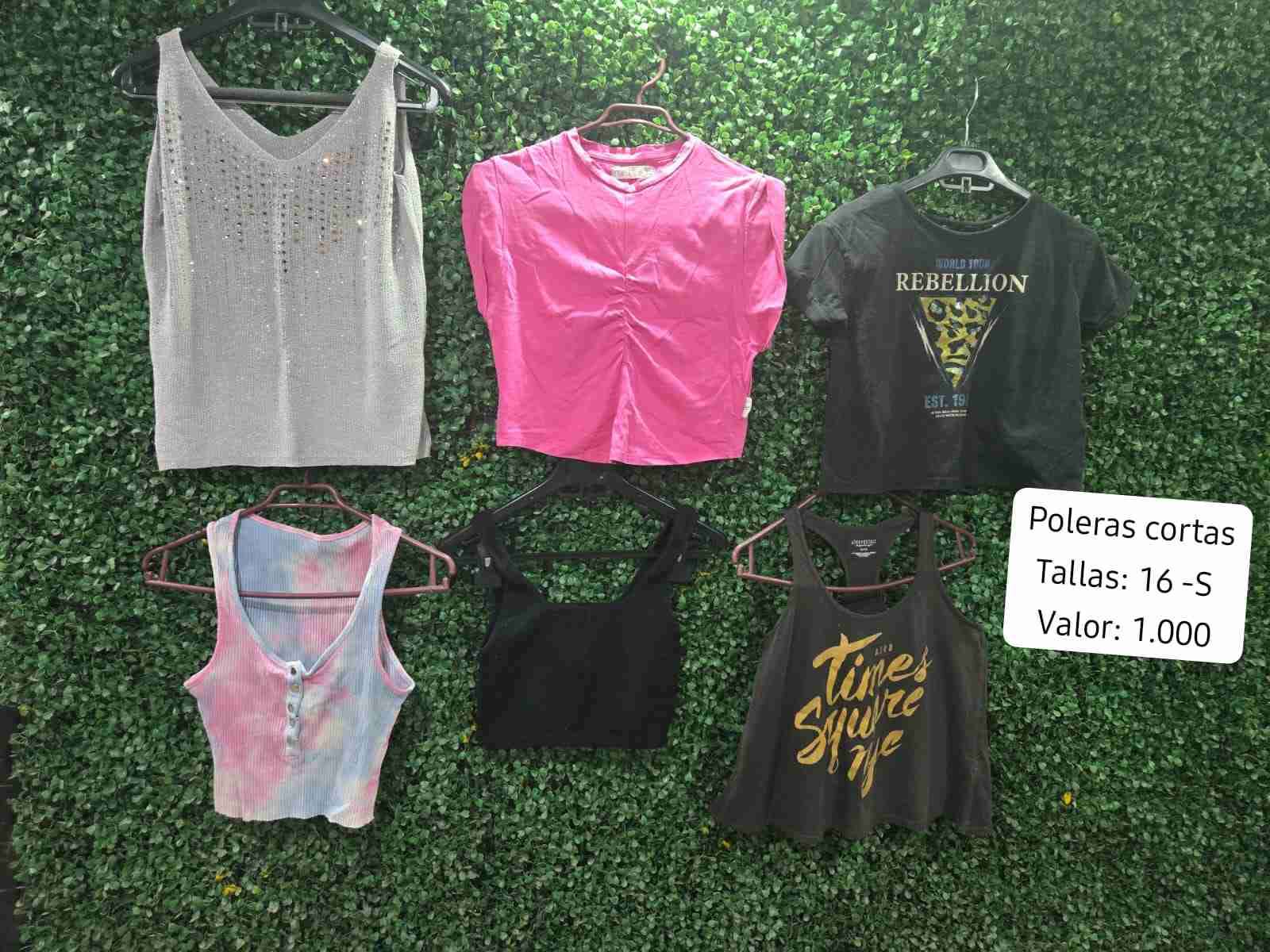 Lote de poleras chicas variadas