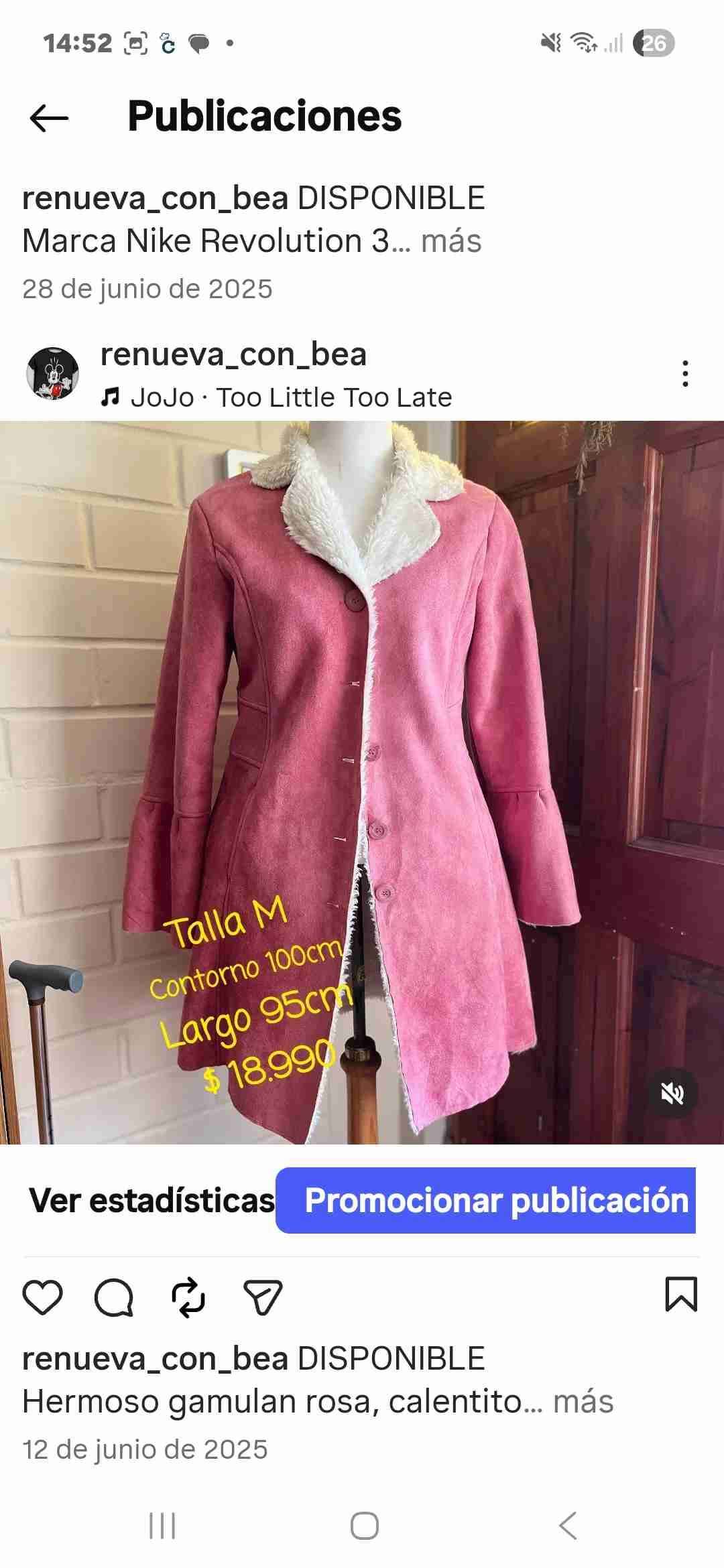 Abrigo gamulán rosa con forro