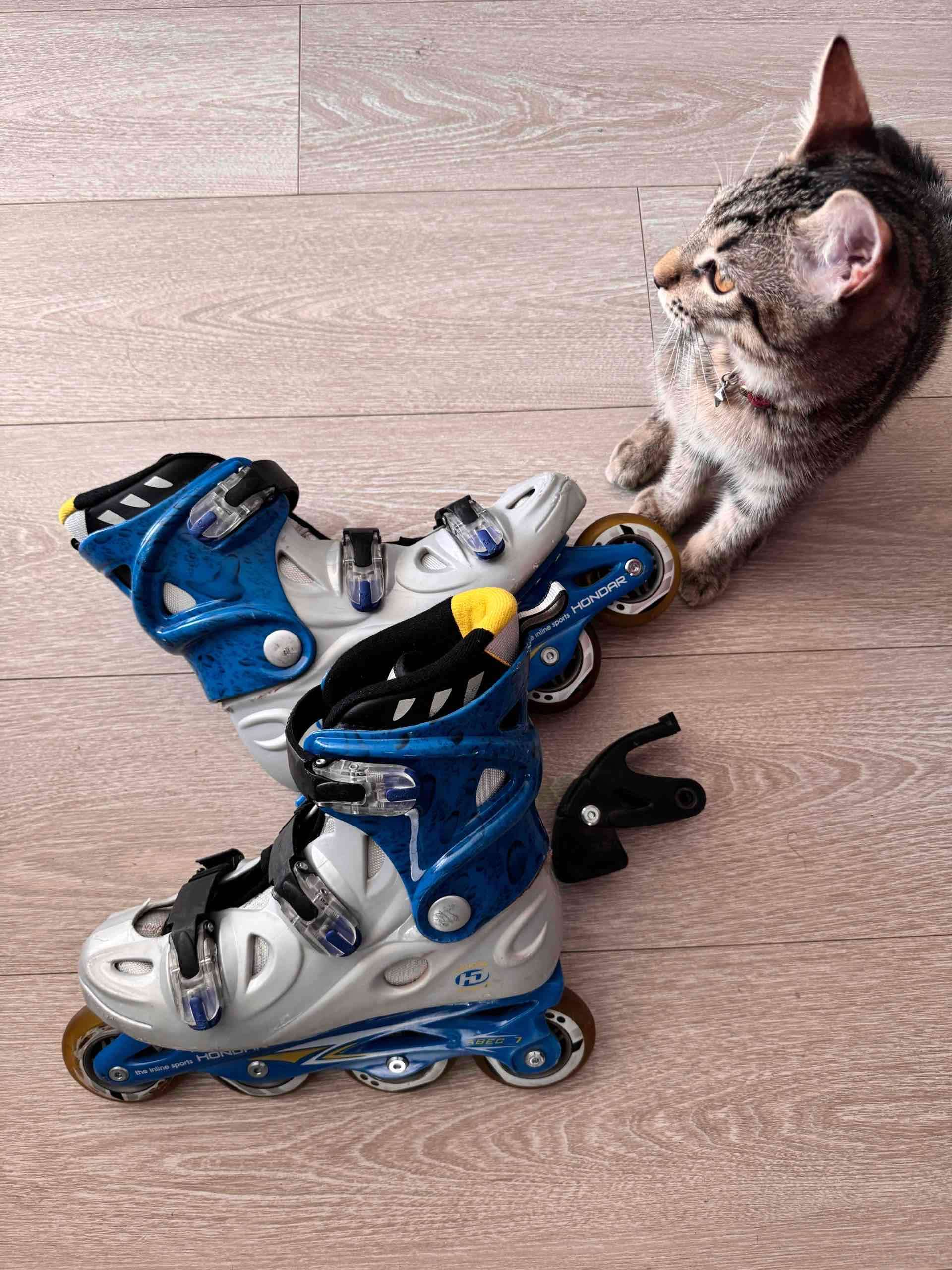 Patines en línea ajustables azul y blanco - miniatura 3