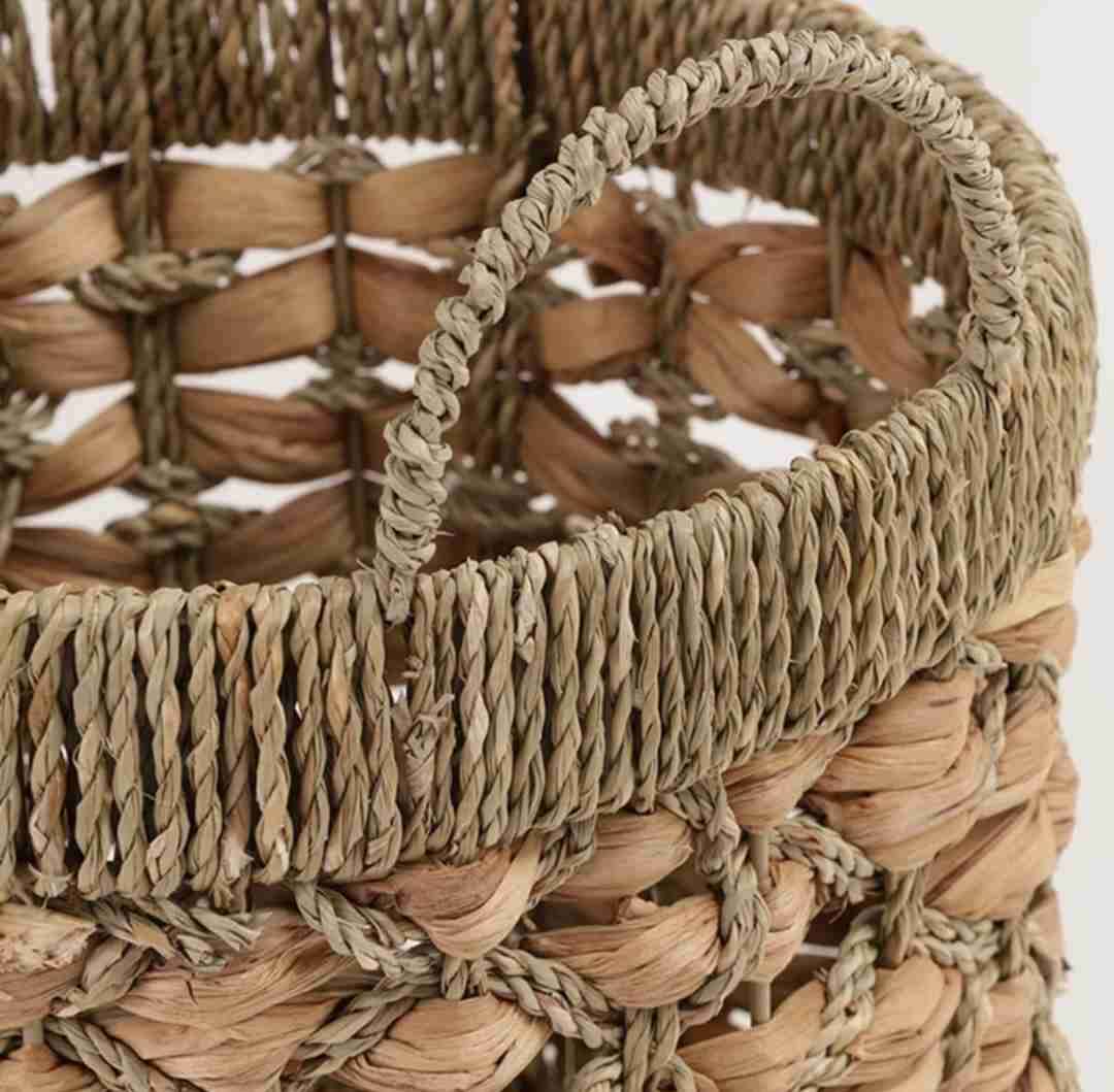 Canasto - miniatura 2