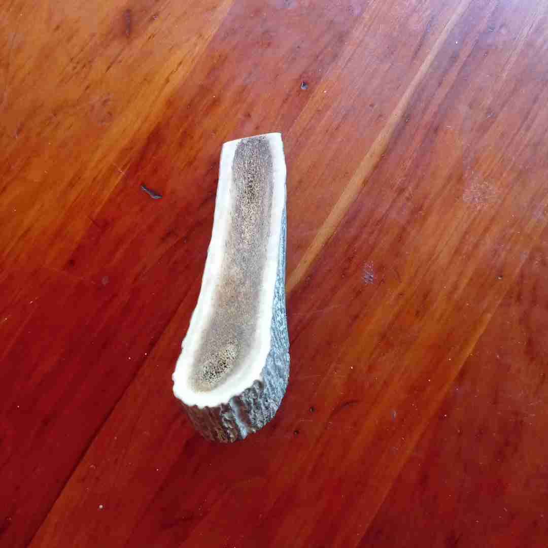 Astas De Ciervo Mordedor Para Perro - miniatura 3