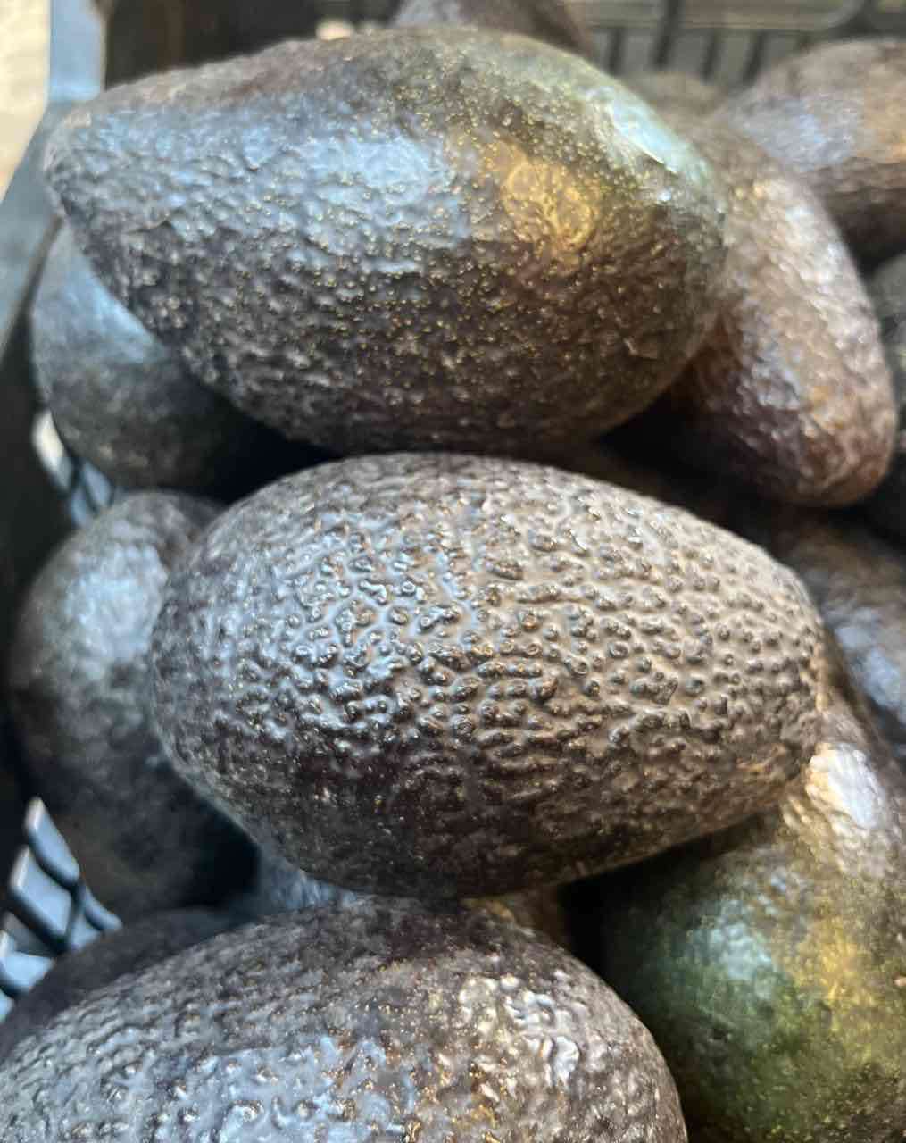 Paltas frescas Hass Chilena - 2