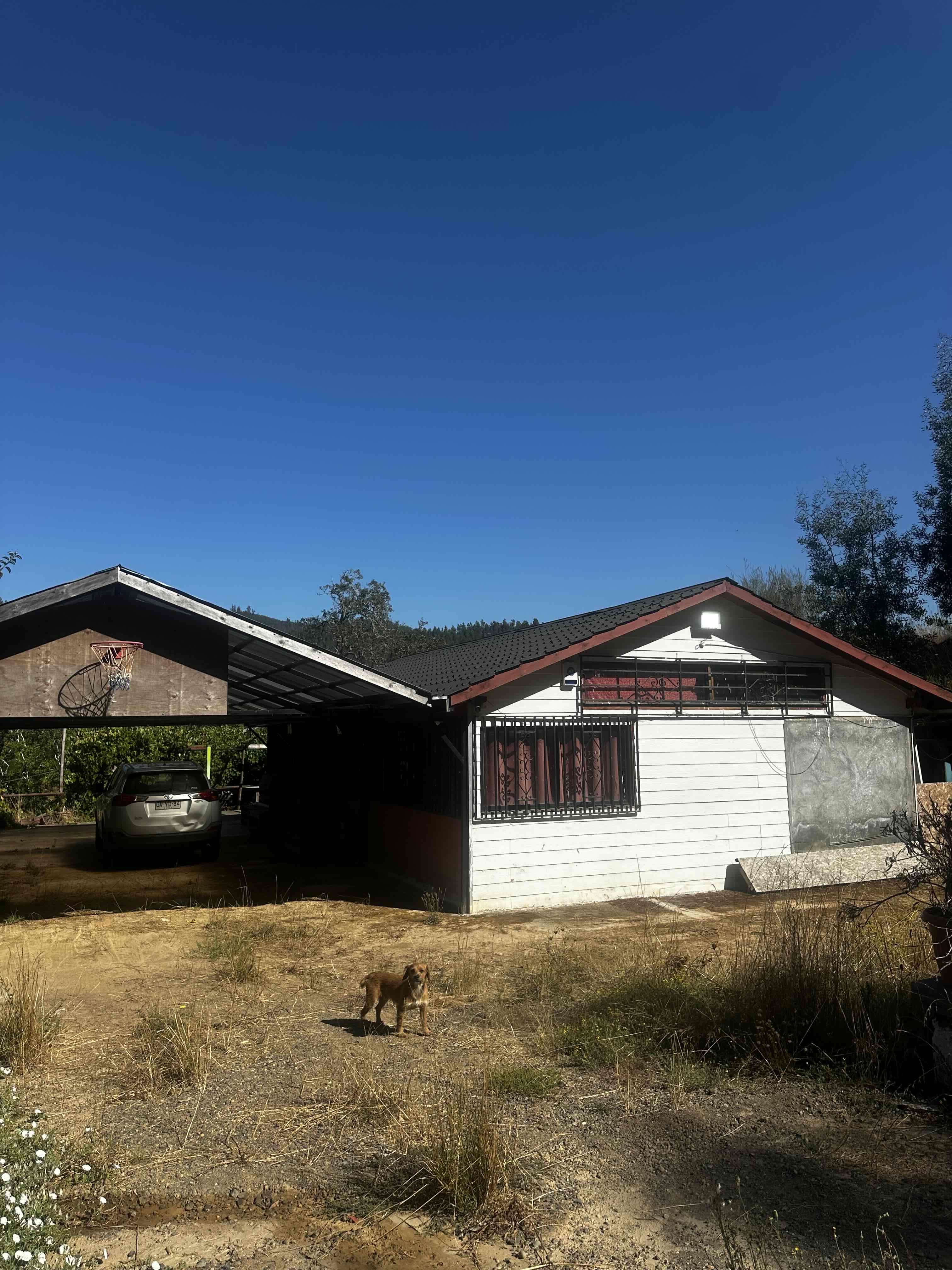 Se vende campo - miniatura 2