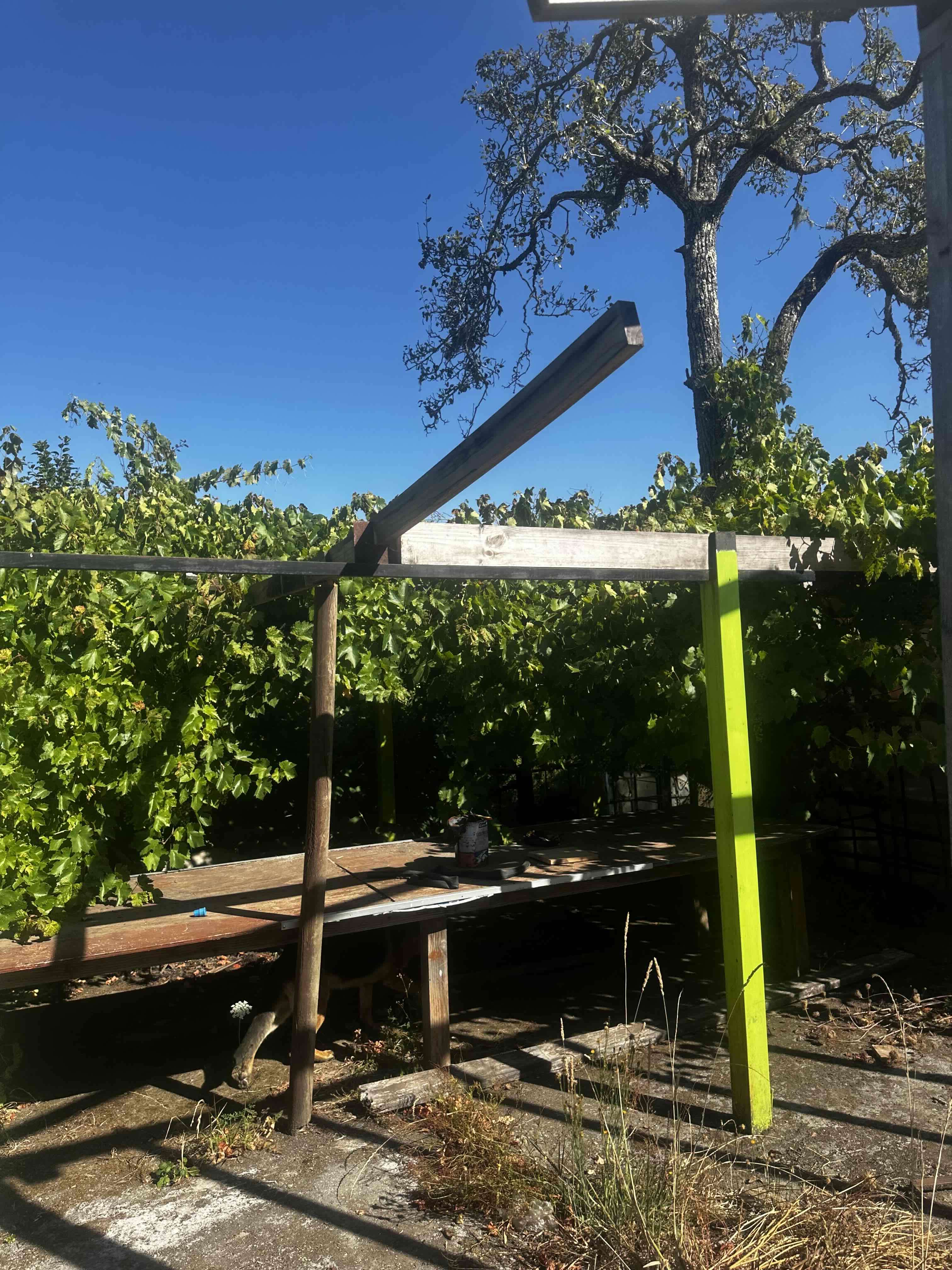 Se vende campo - miniatura 3