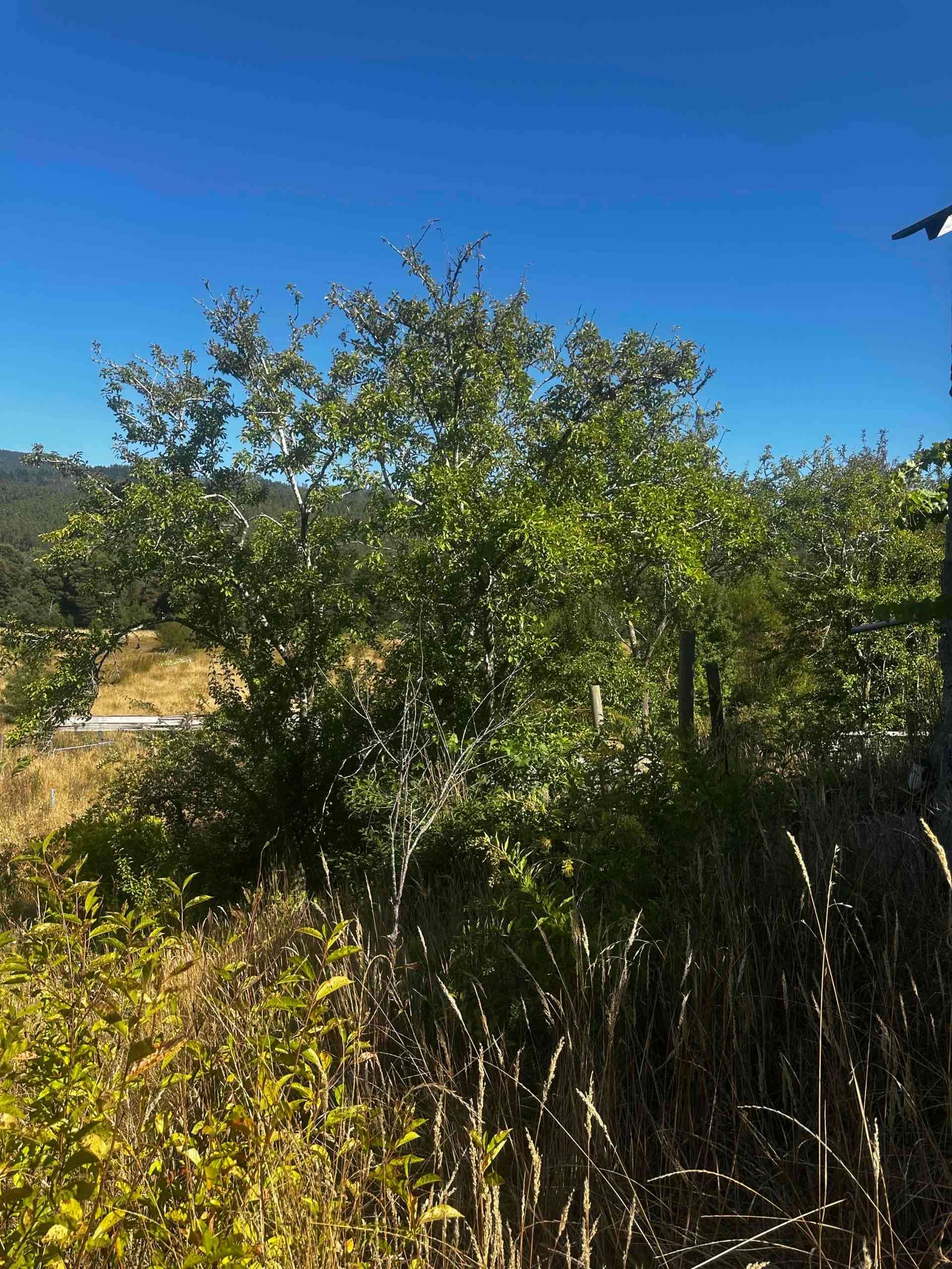 Se vende campo - miniatura 4