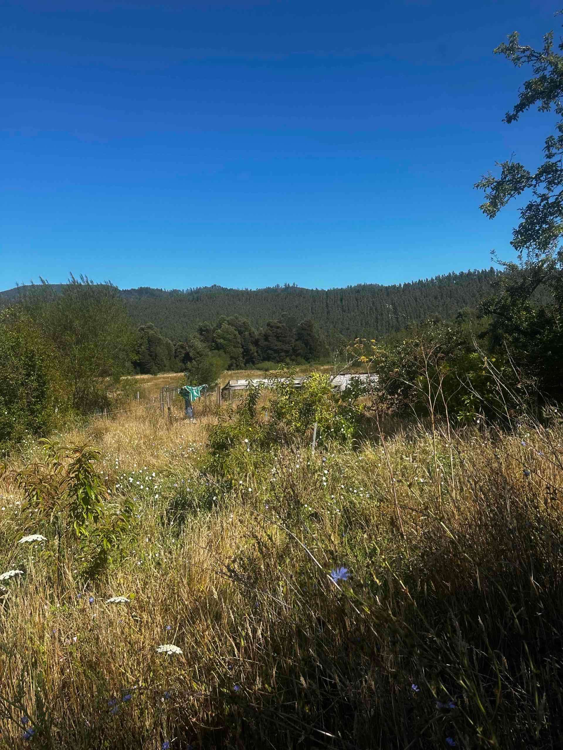 Se vende campo - miniatura 5