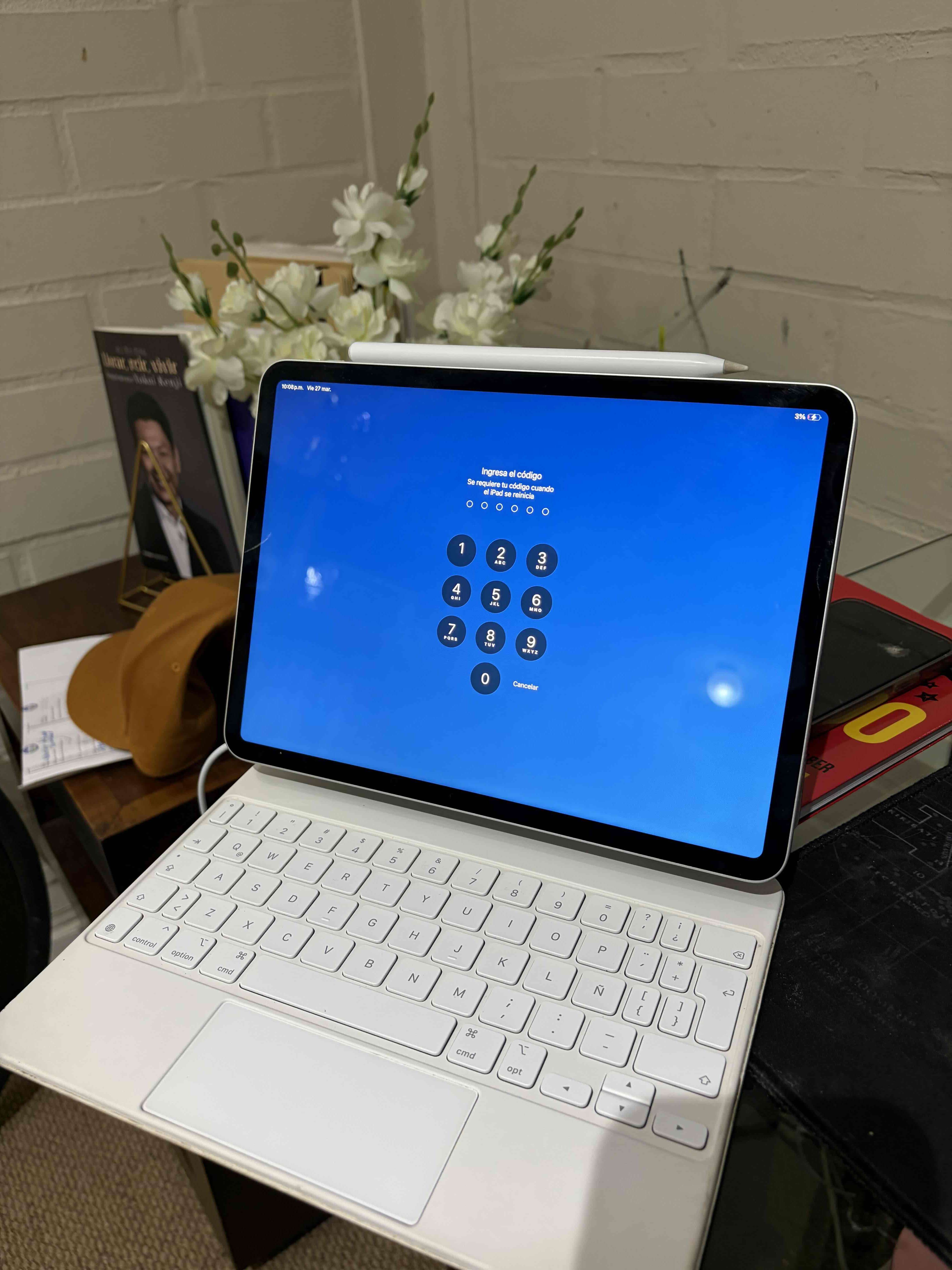 iPad Pro con lápiz - 5