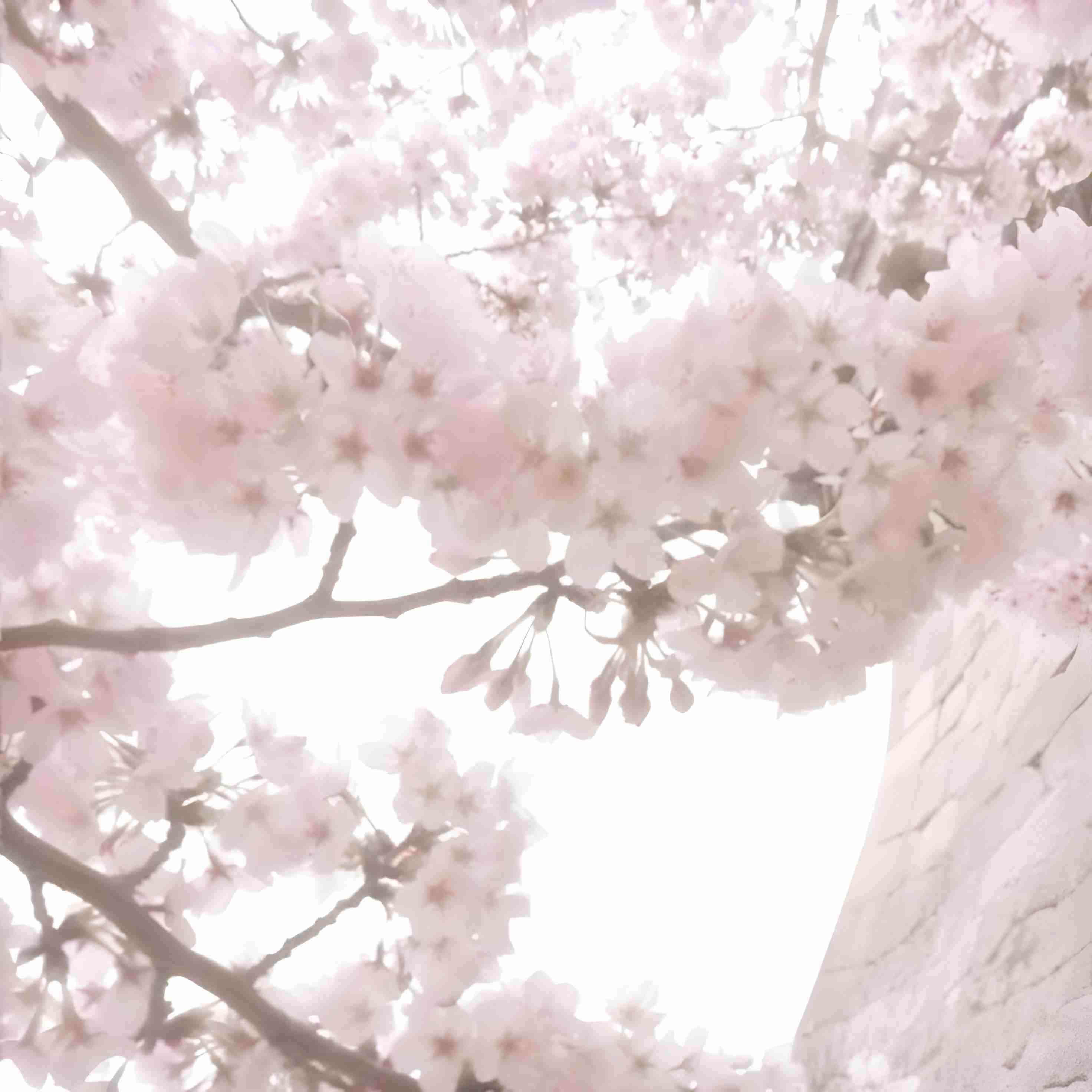 ᥴᥣ᥆𝗍һіᥒg sᥲᥣᥱ o(〃＾▽＾〃)o