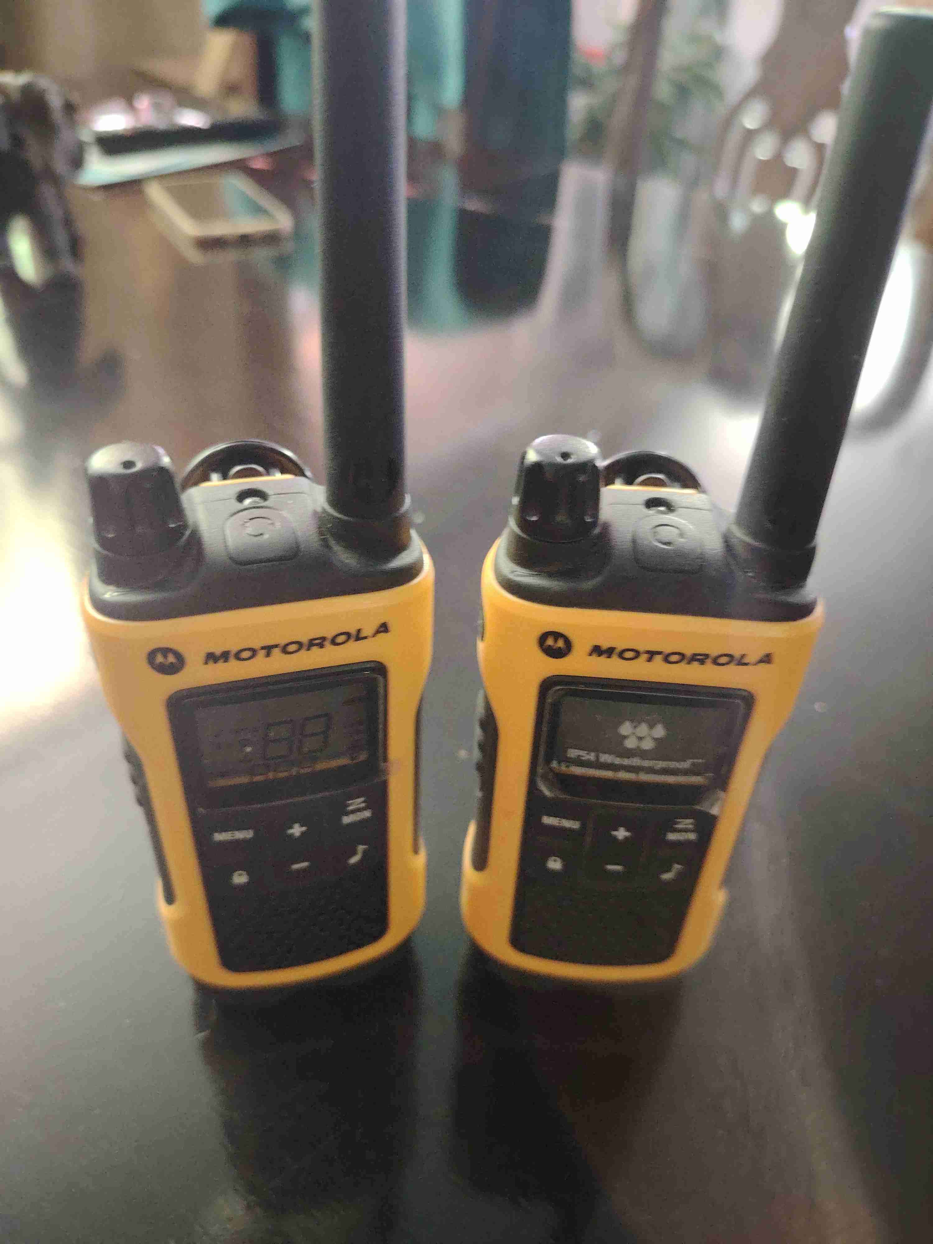 Walkie Talkies Motorola Amarillos