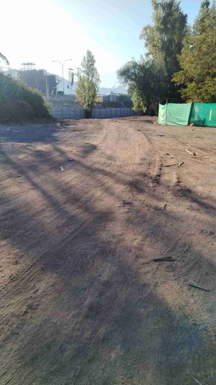 Audifonos Seinheiser