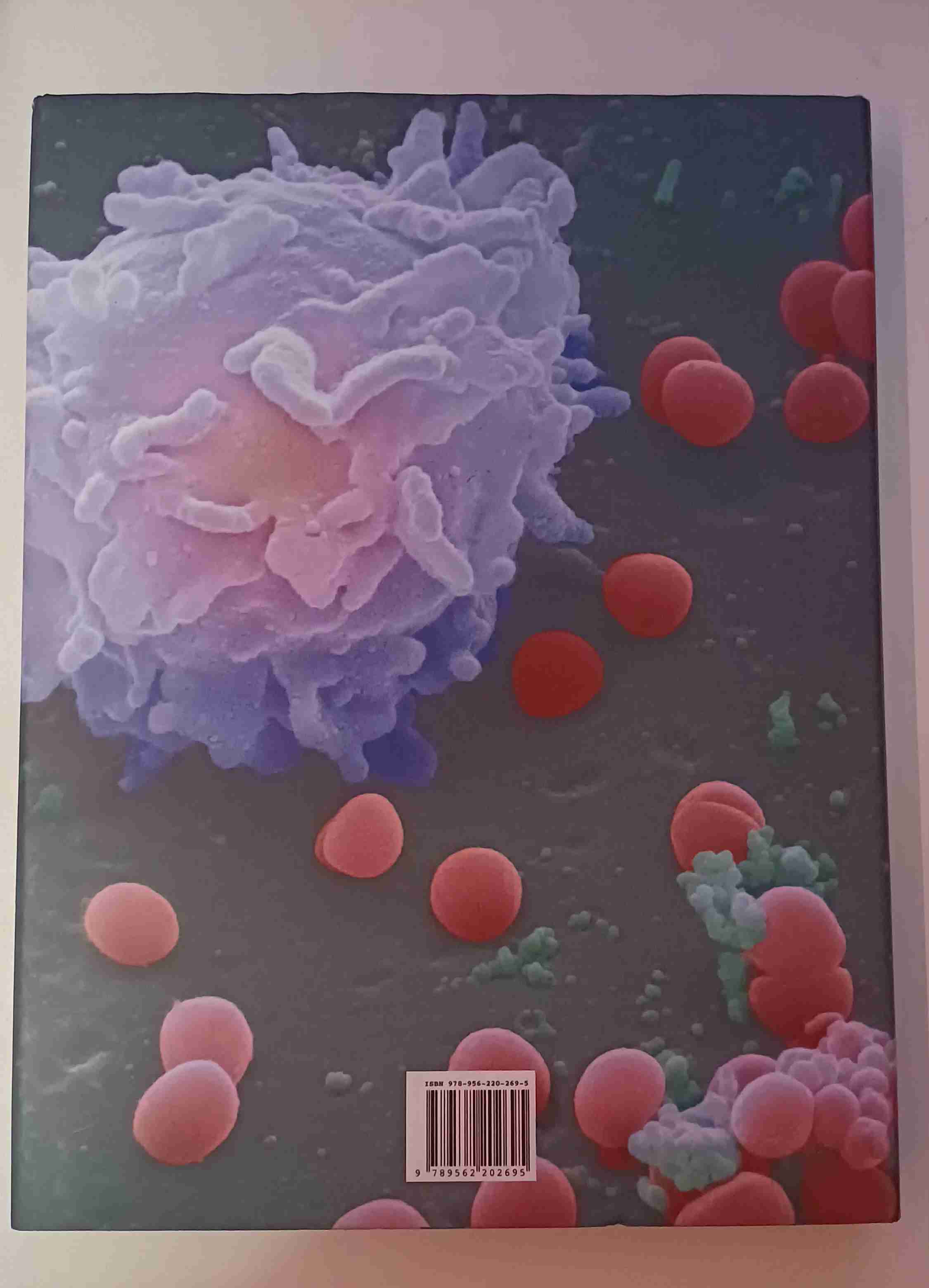 Libro 'El Interior del Cuerpo' - miniatura 2