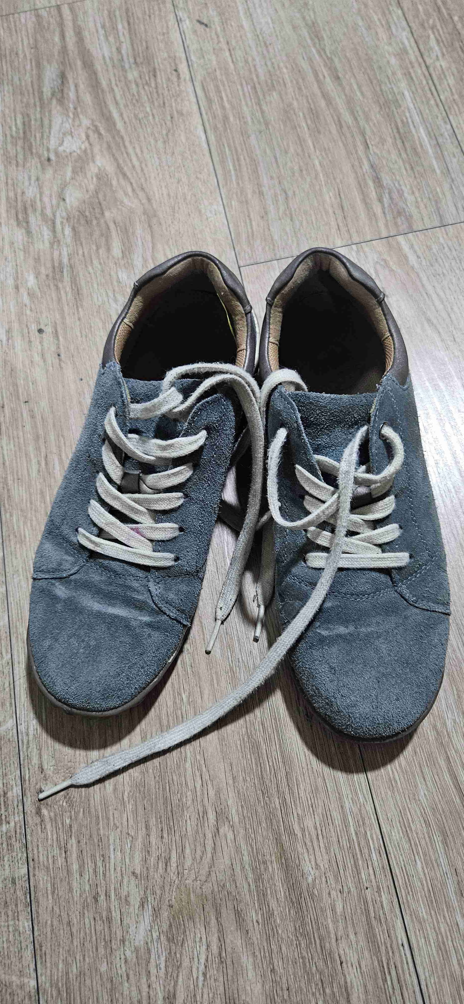 Zapatillas de gamuza azul panama jack