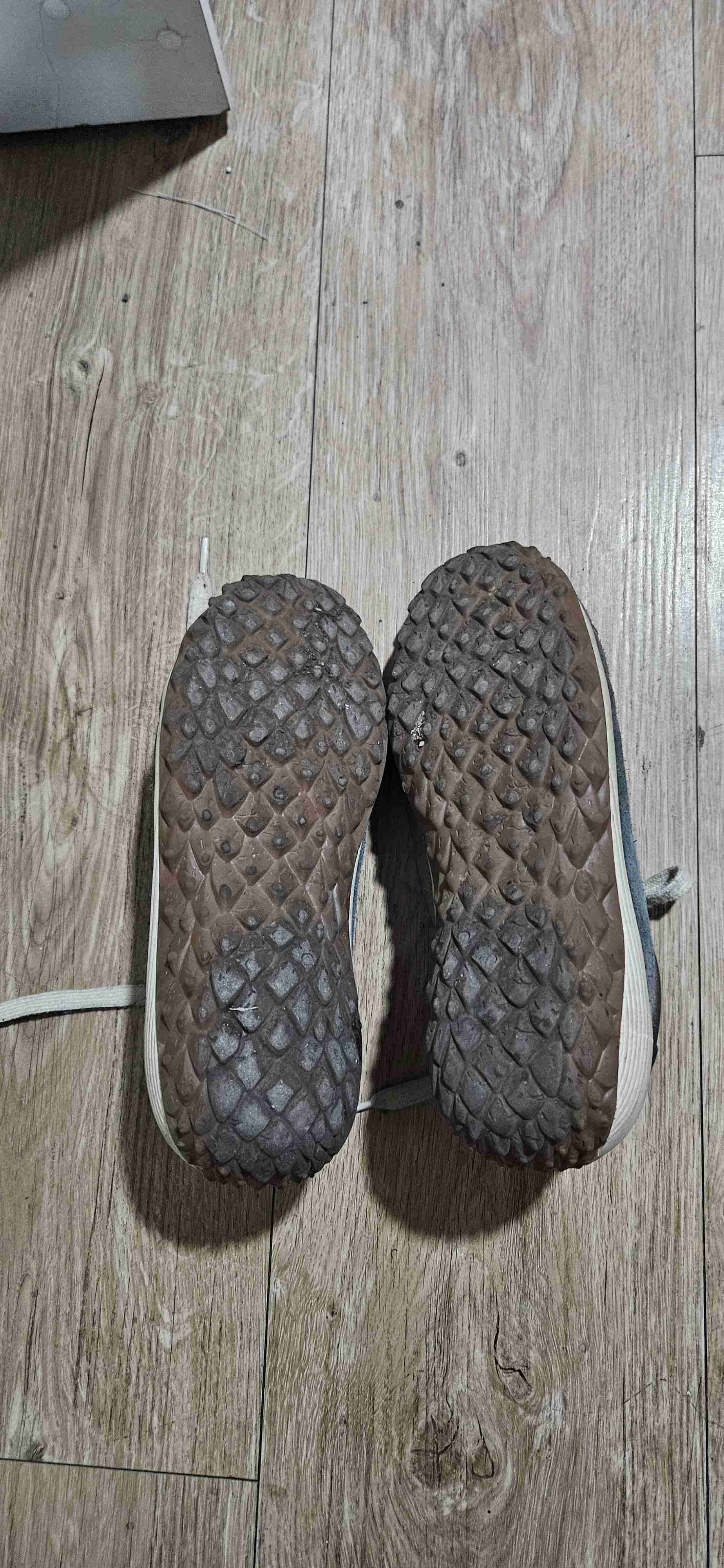 Zapatillas de gamuza azul panama jack - miniatura 3