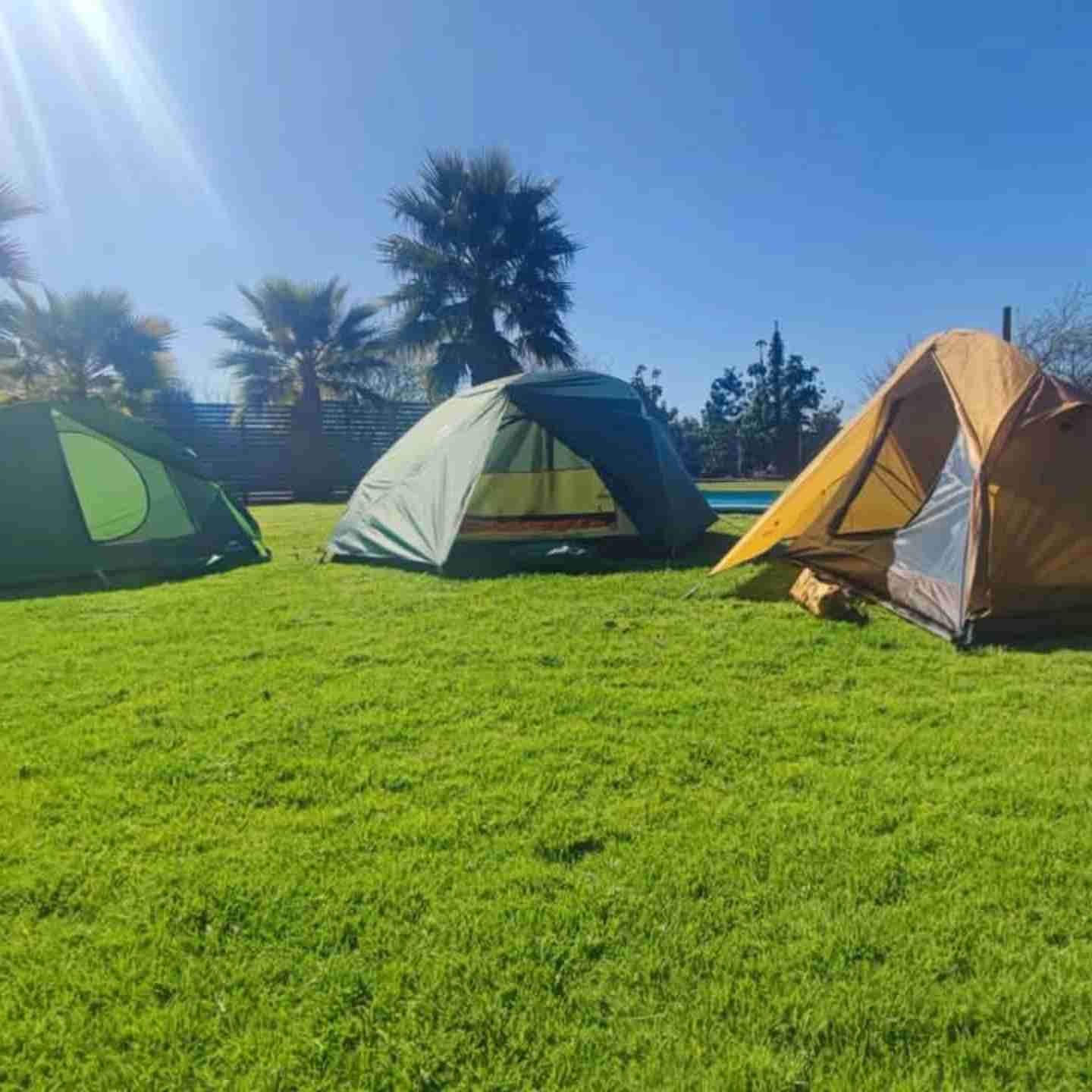 carpas de camping 3 estaciones 1 persona - miniatura 2