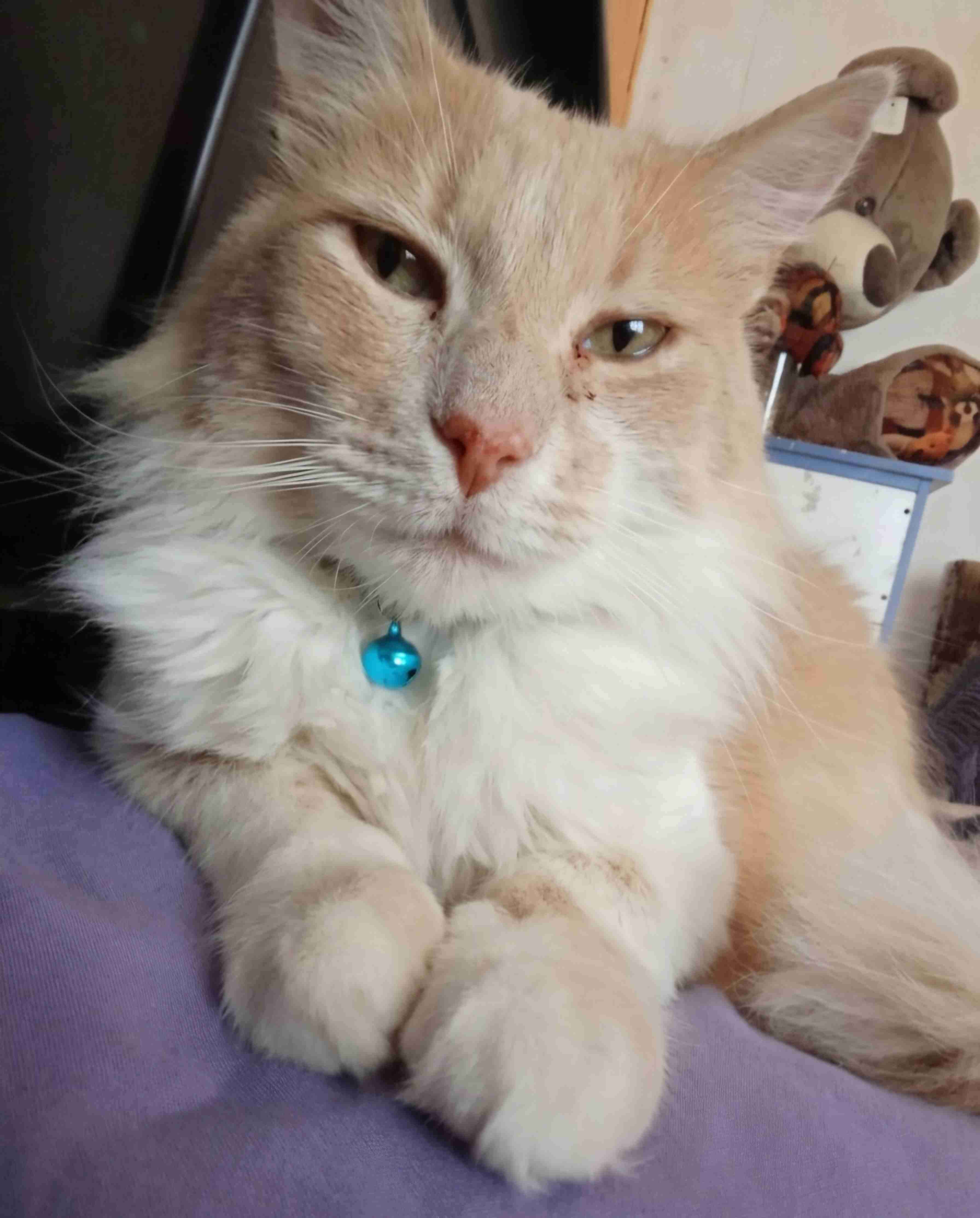 Retrato láser en madera - miniatura 2