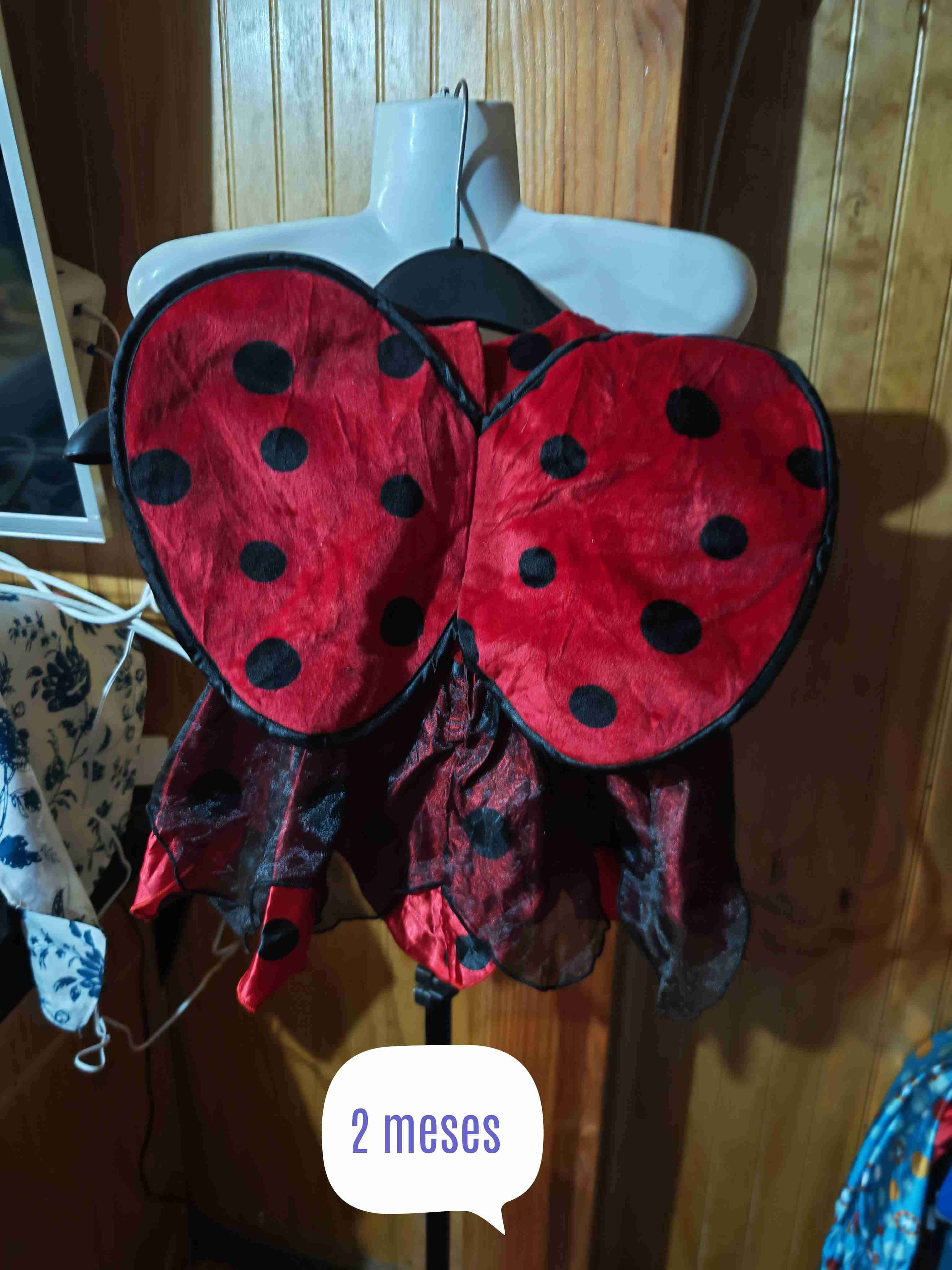 Disfraz verde talla 18 meses - 6