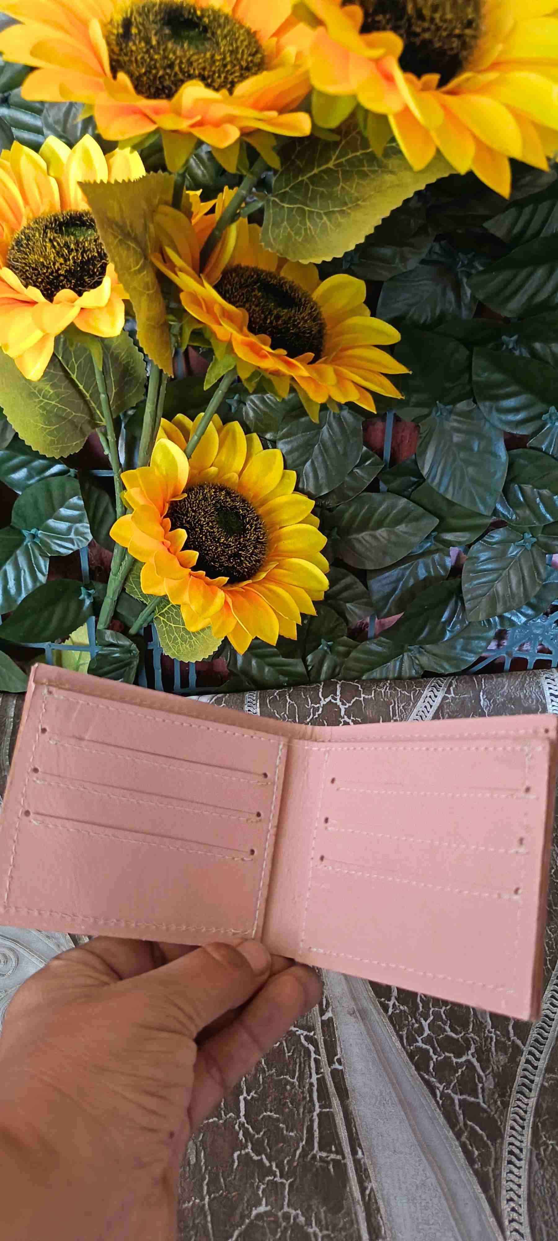 Billeteras de cuero - miniatura 5