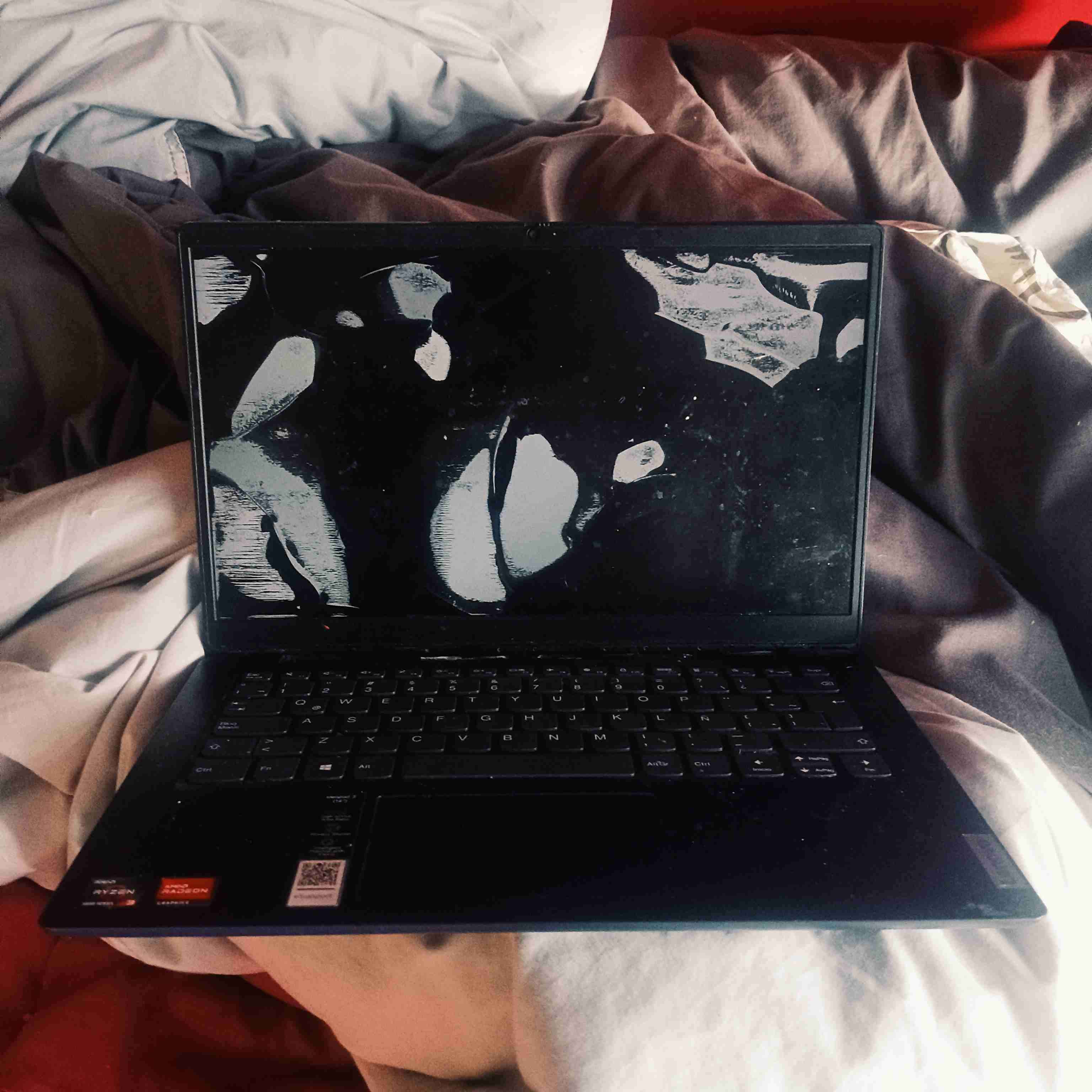 Notebook + Monitor - miniatura 4