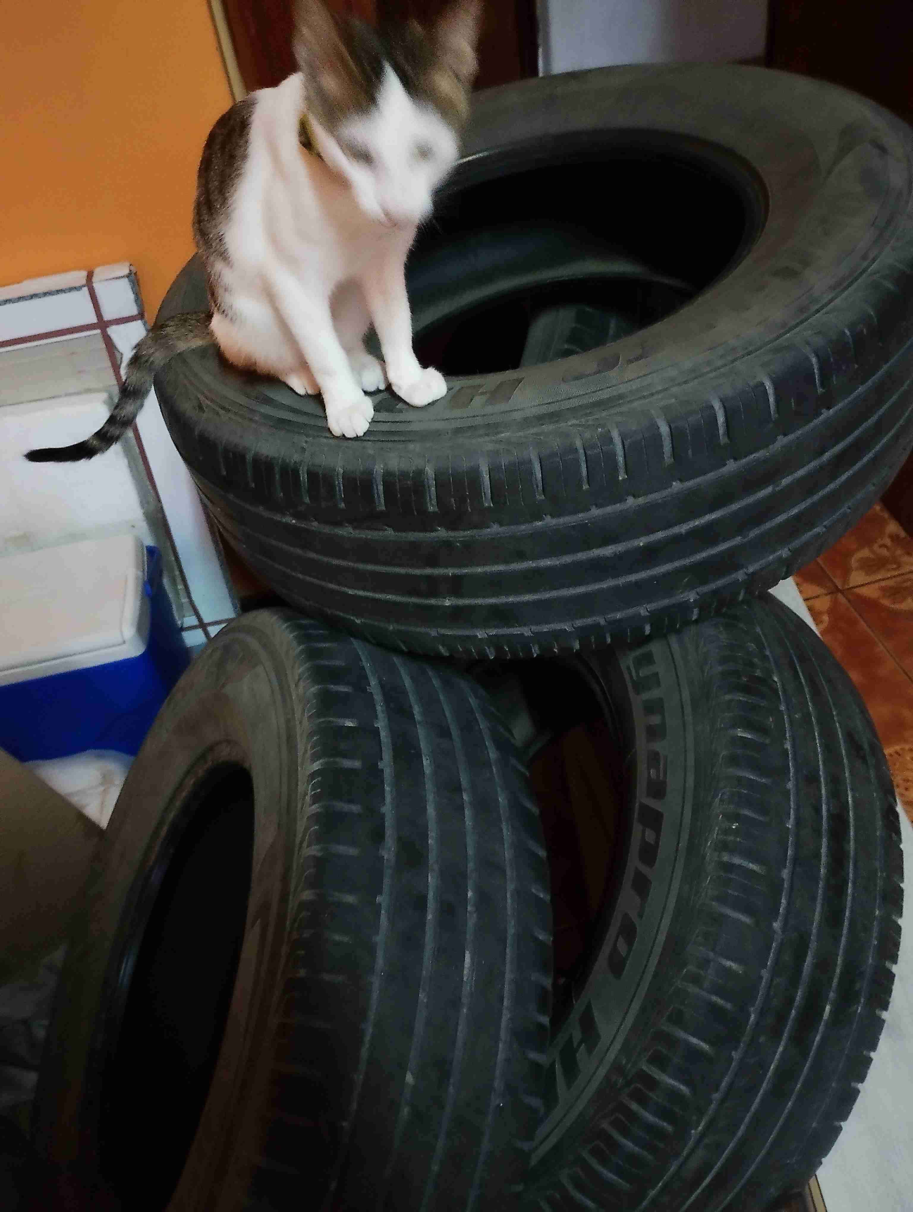 Set de neumáticos usados - miniatura 2