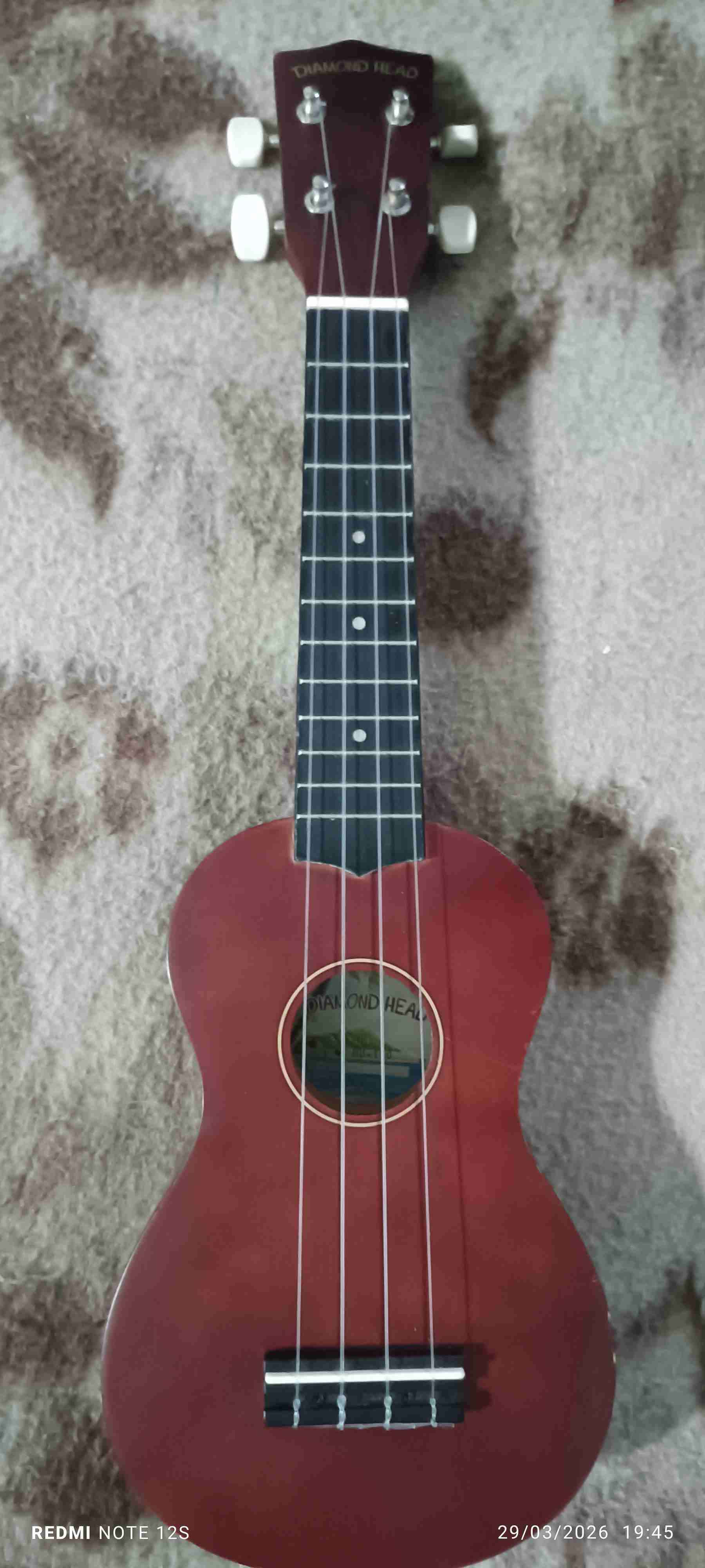 Funda de guitarra Diamond Head - miniatura 2