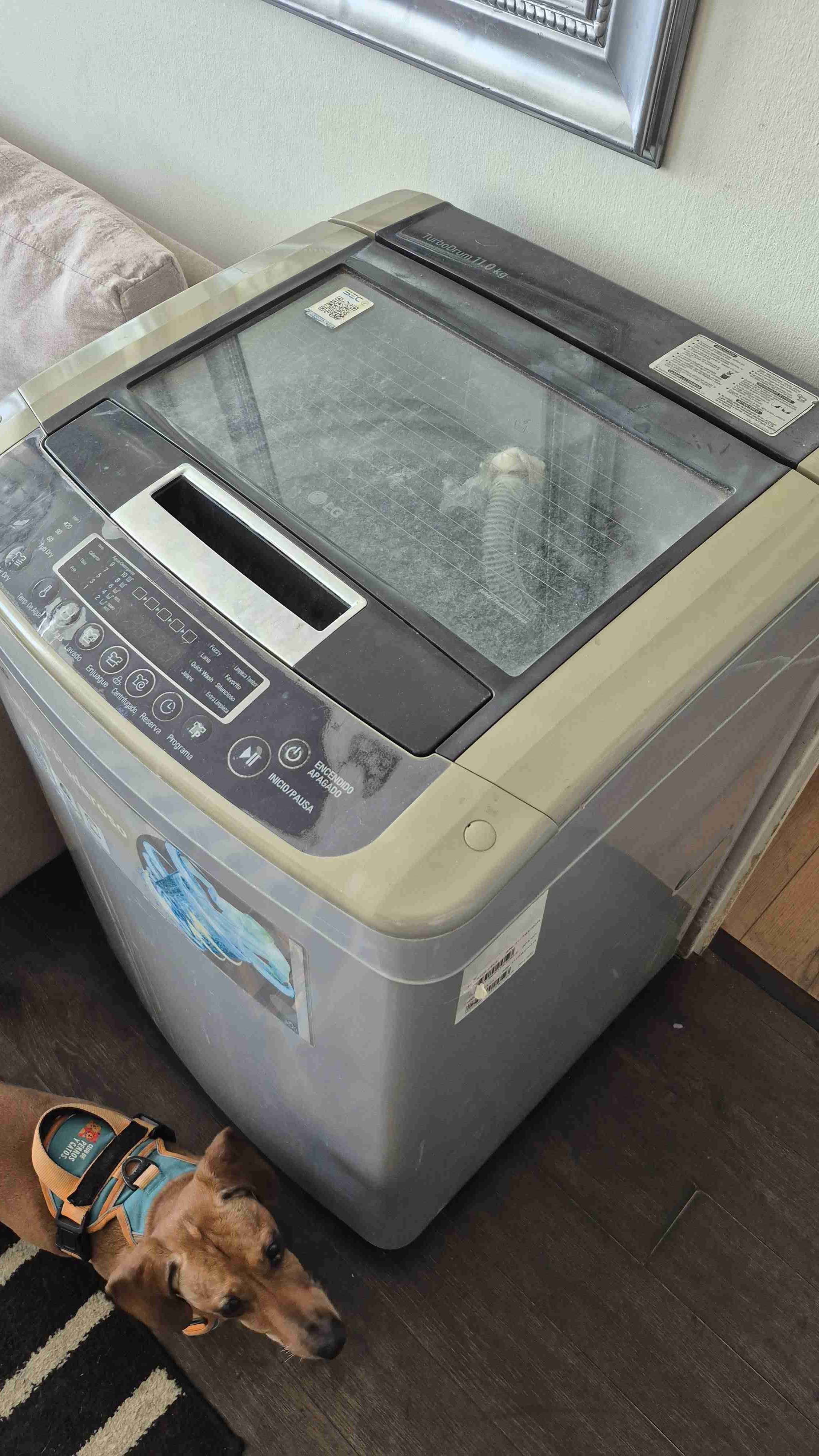 Lavadora LG TurboDrum 11 kg - 4