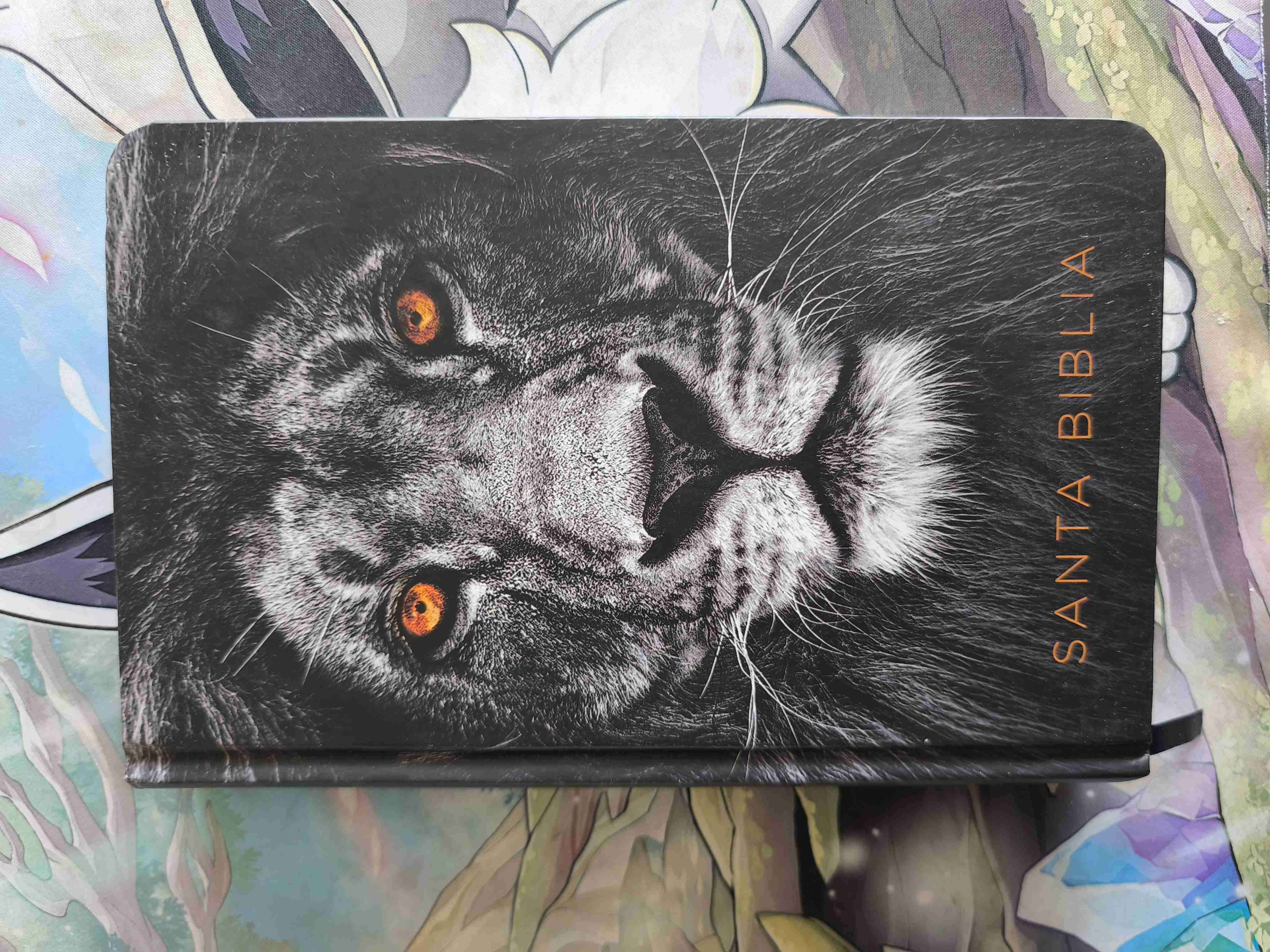 Santa Biblia Reyna-Valera 1960