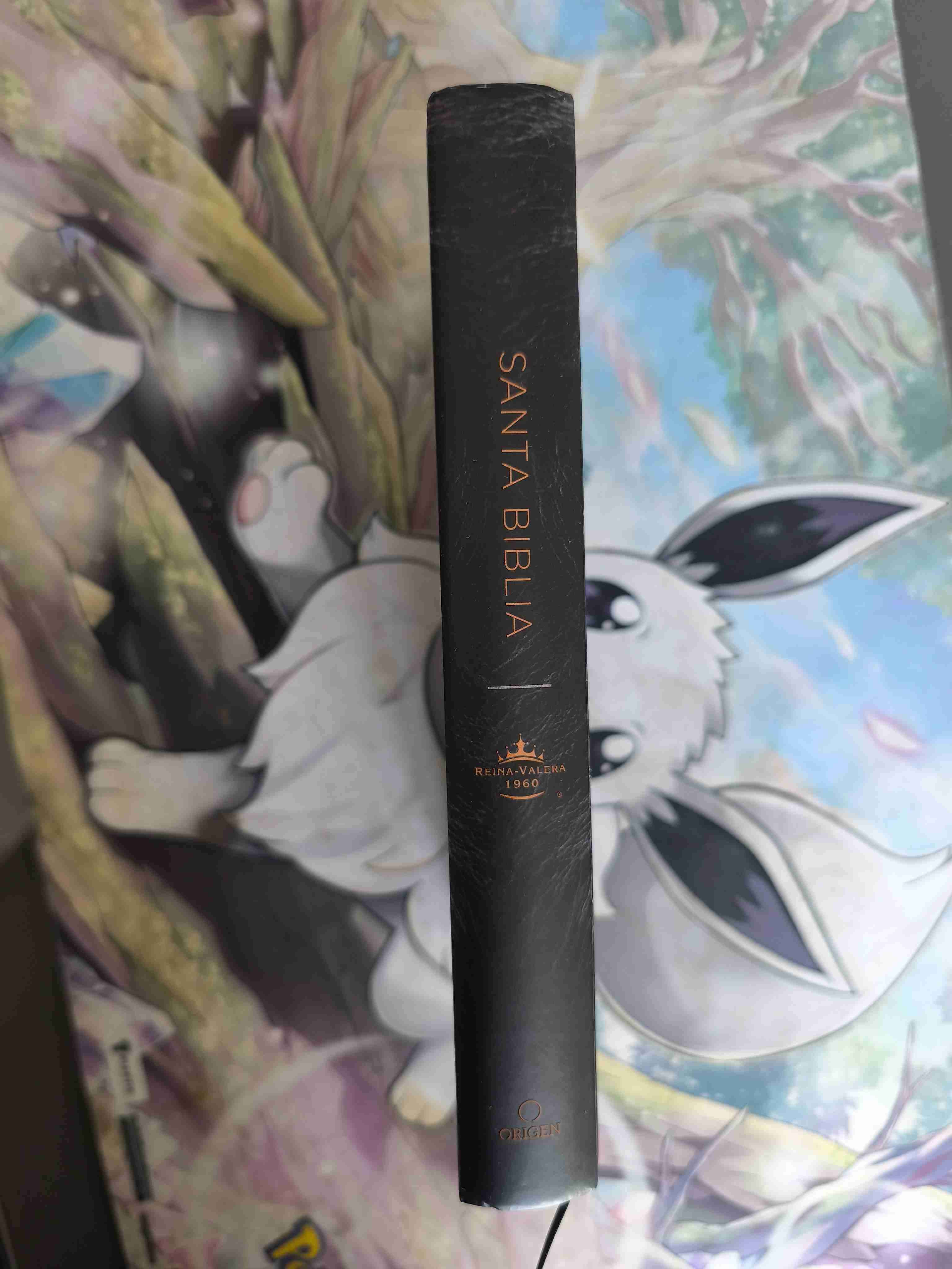 Santa Biblia Reyna-Valera 1960 - miniatura 2