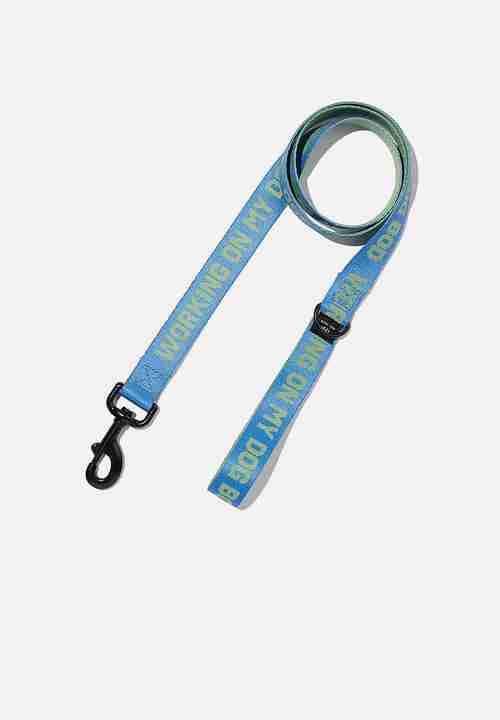 Correa Azul para mascotas - miniatura 3