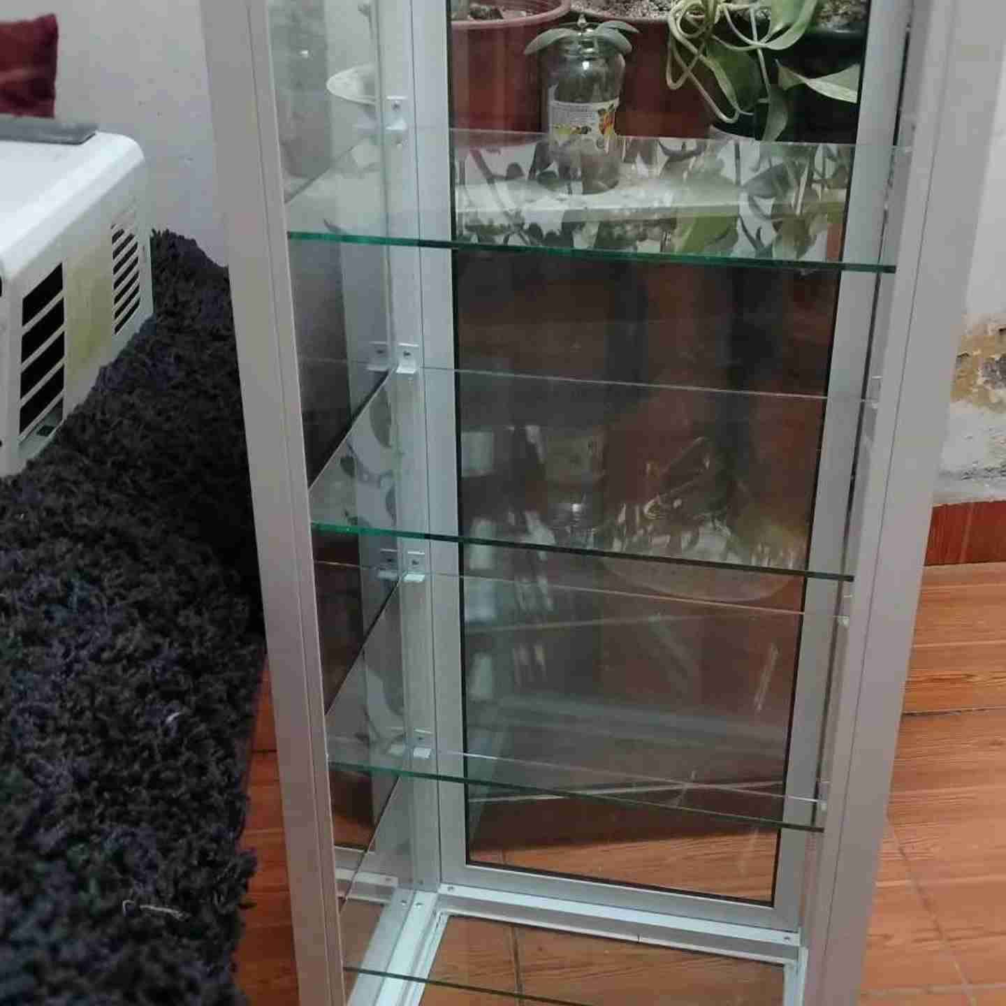 Vitrina de cristal con estantes