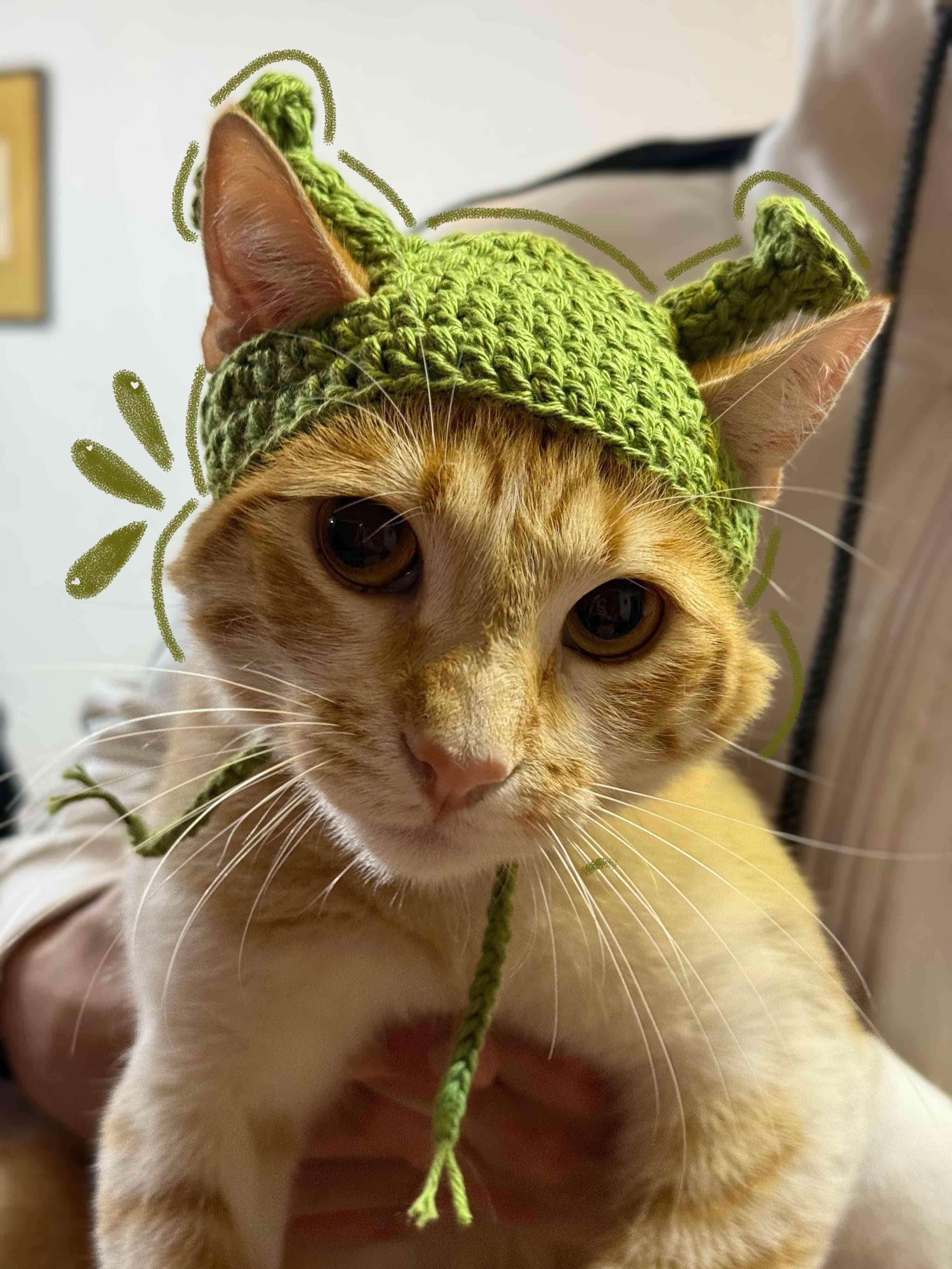 Gorro Shrek tejido para gato ( algodón)