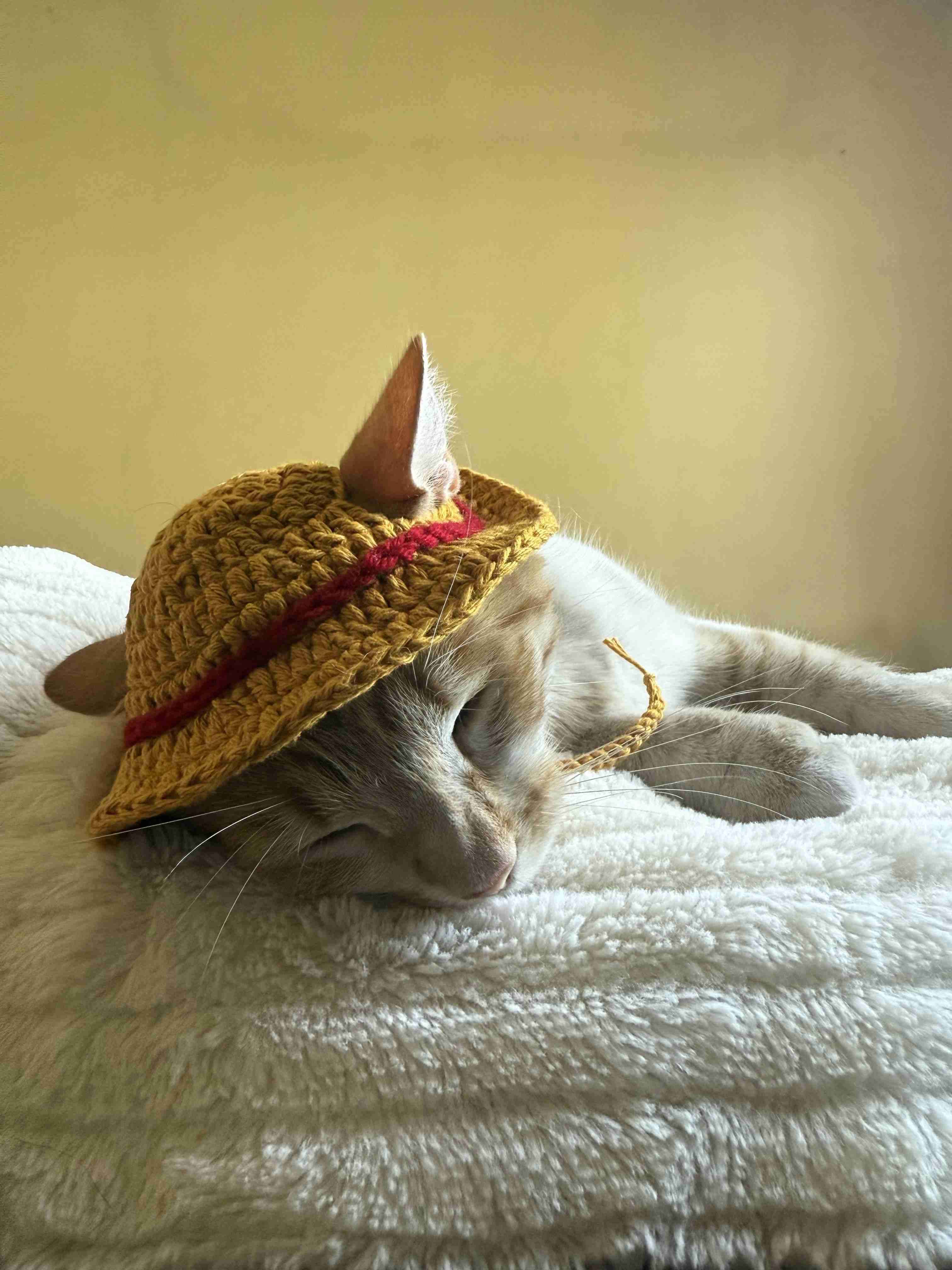 Gorrito tejido para gato luffy one piece - miniatura 3