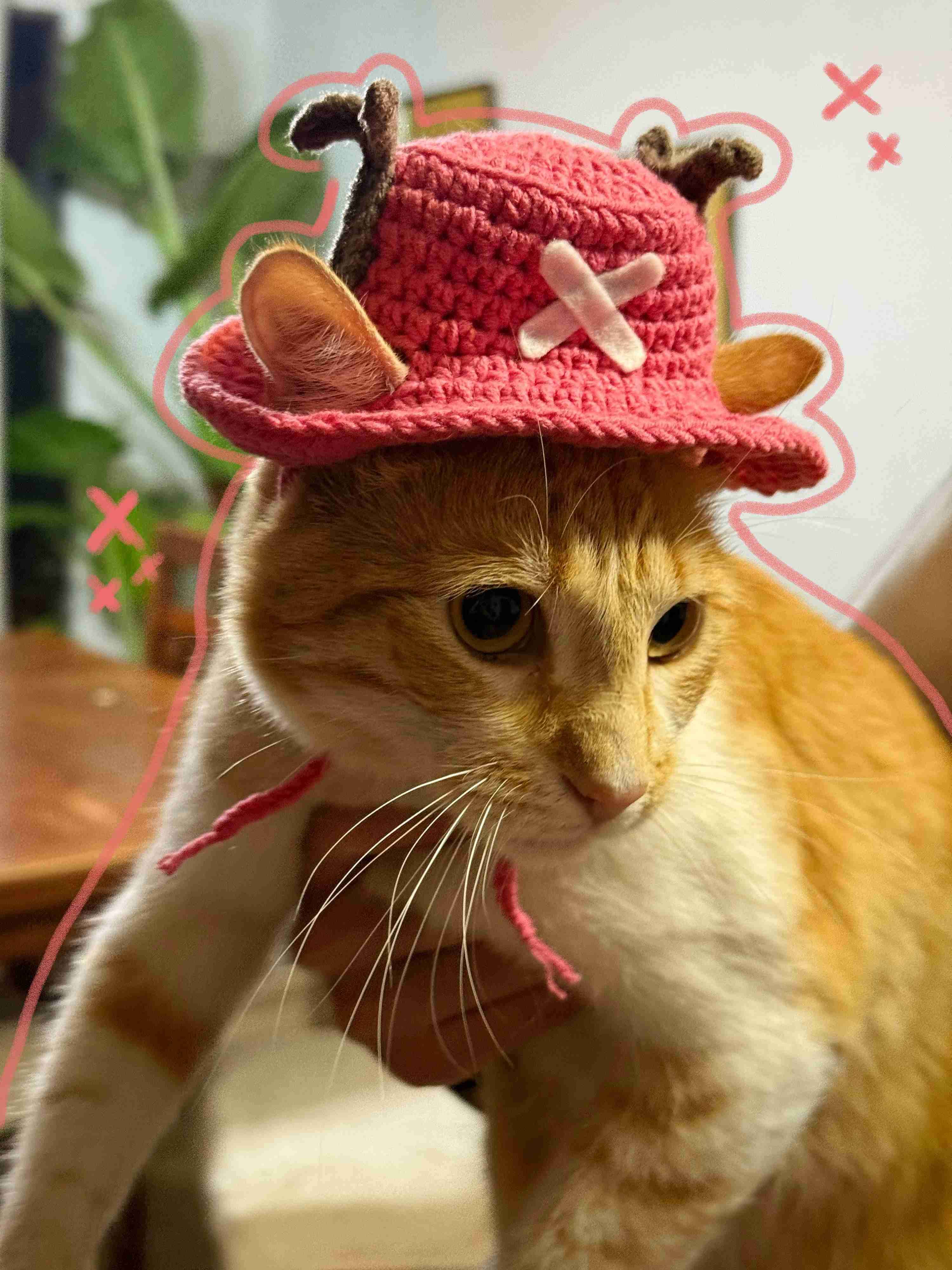 Sombrero tejido para gato diseño chooper one piece