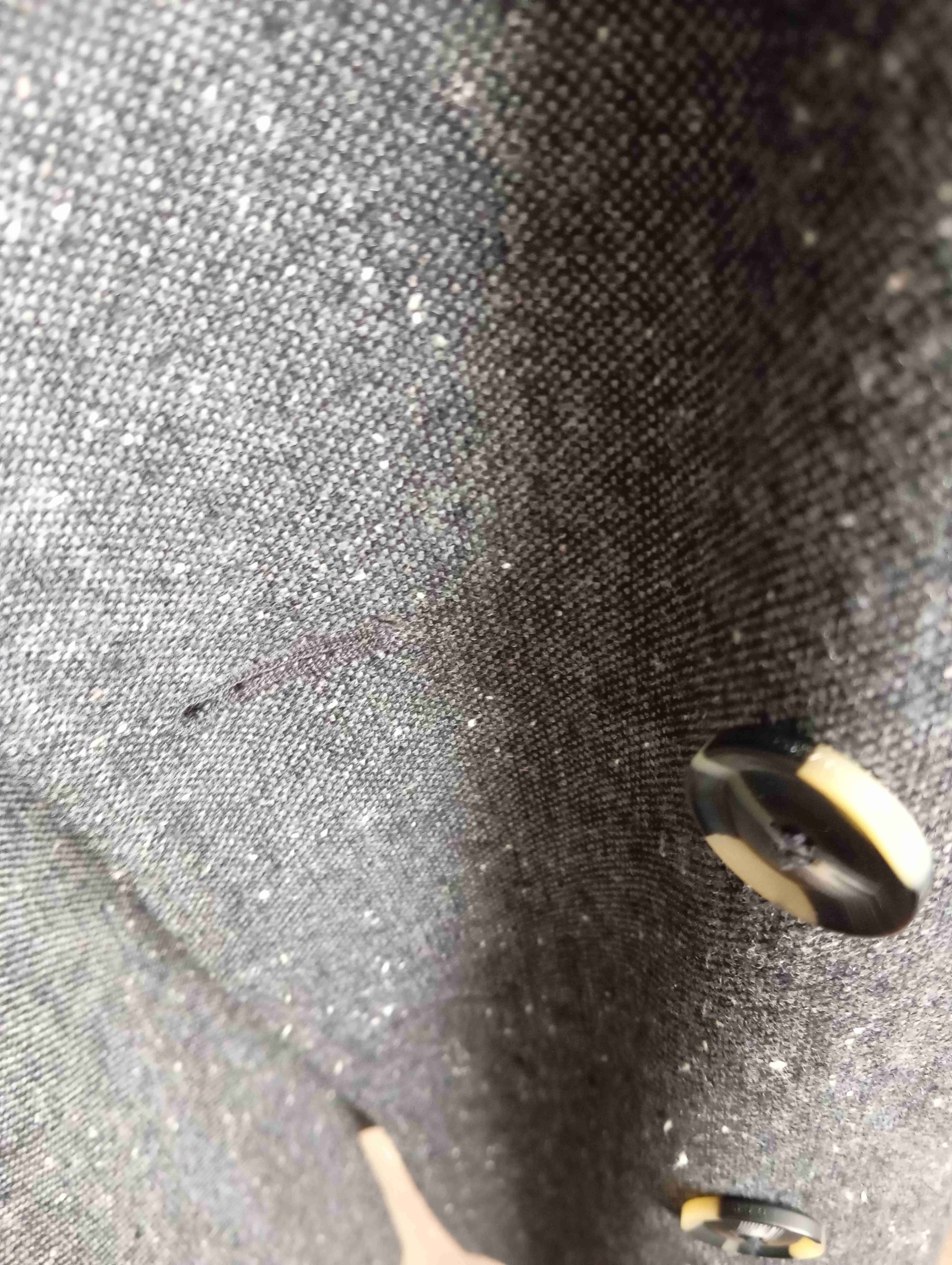 Chaqueta blazer Marquis de hombre - miniatura 3