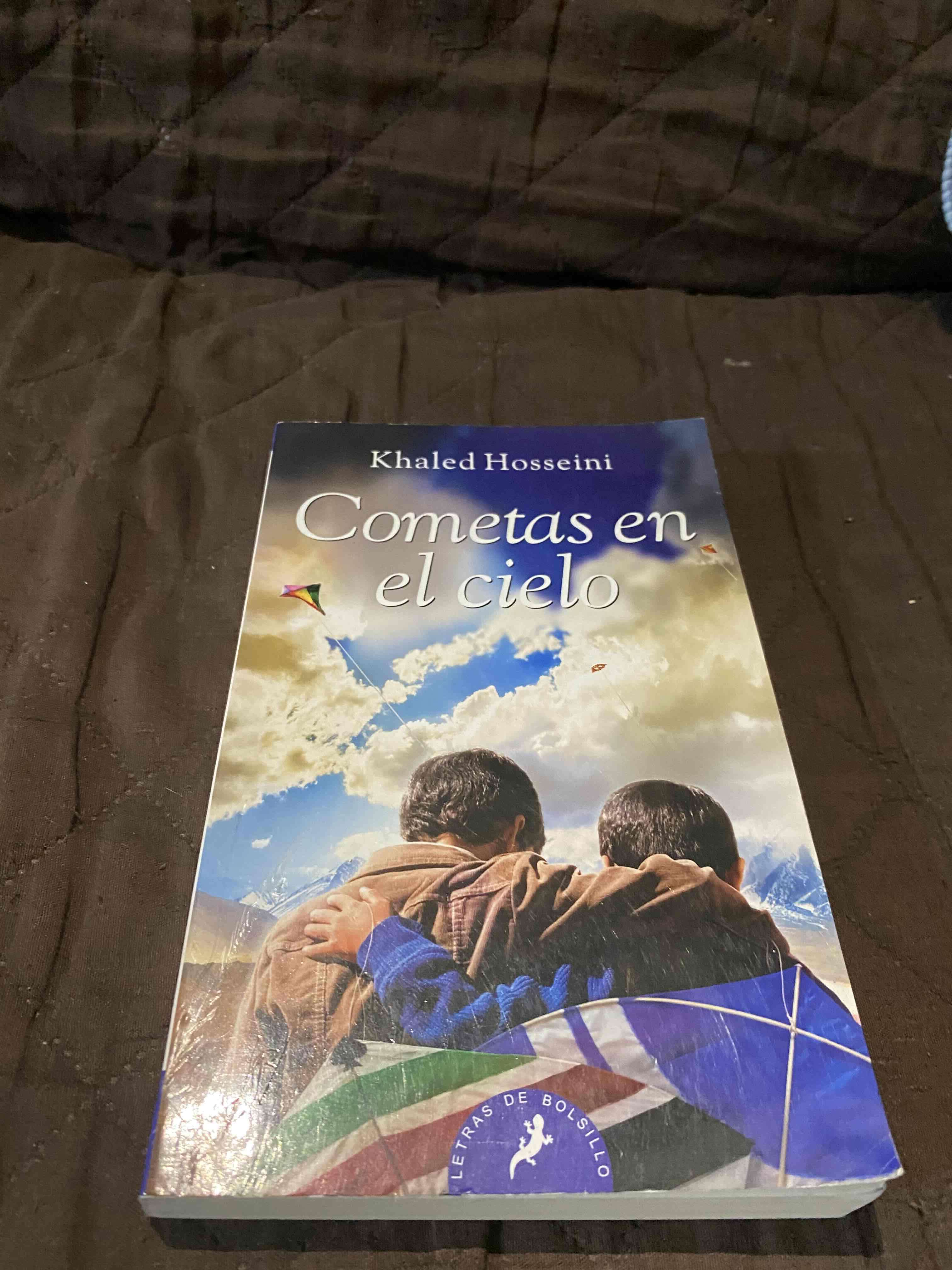Libro Cometas en el cielo