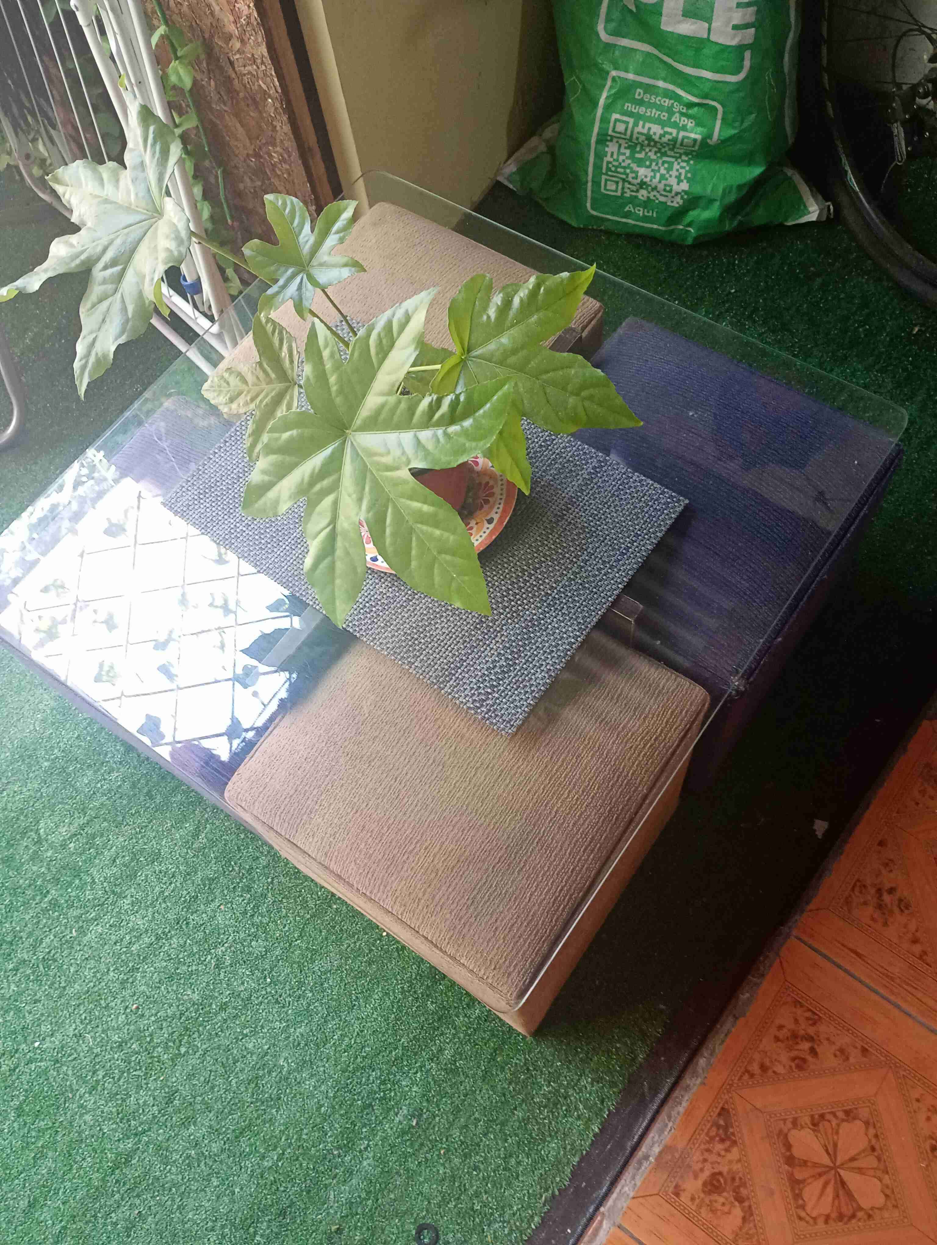 Mesa de centro con vidrio