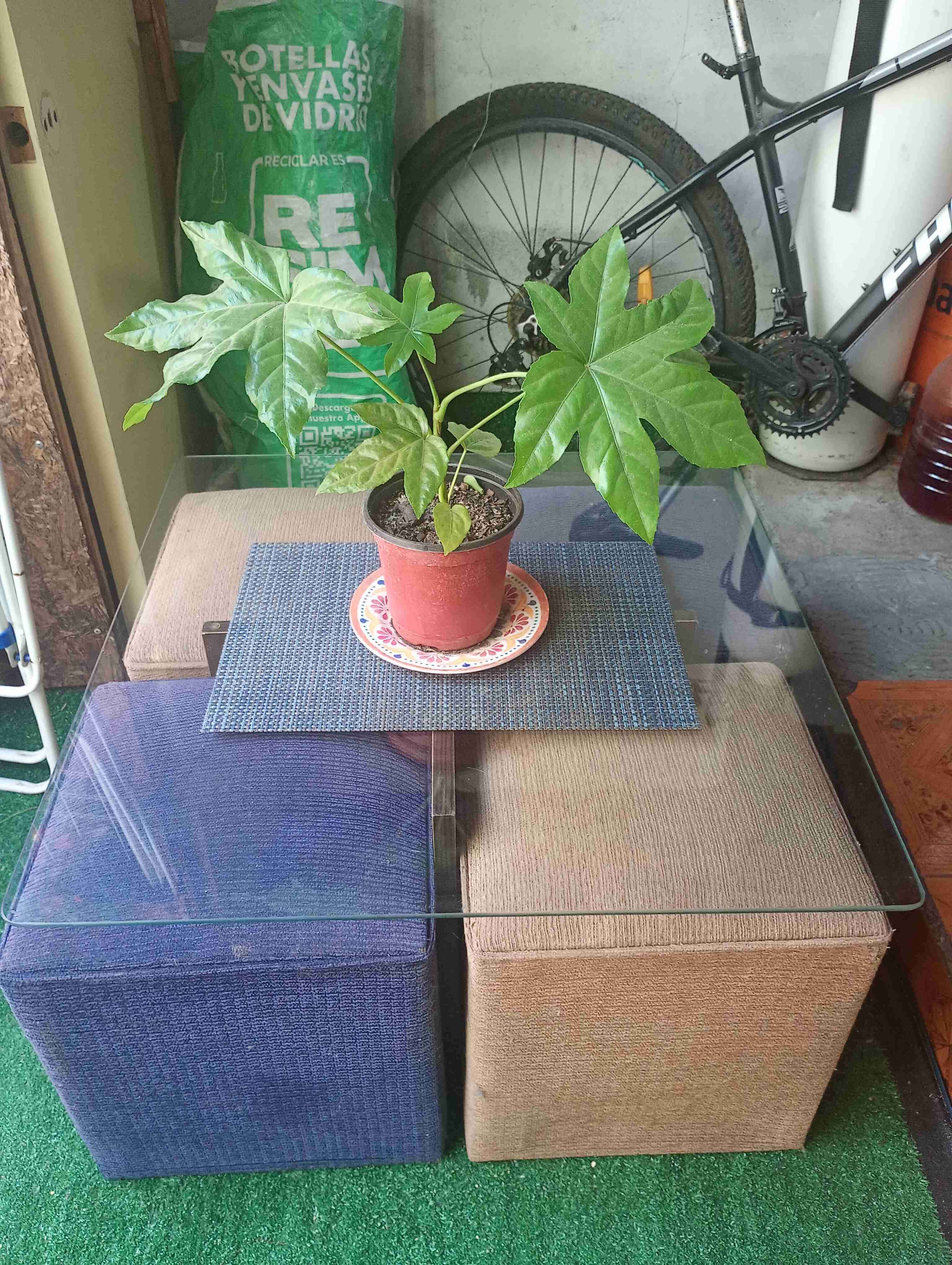 Mesa de centro con vidrio - miniatura 2