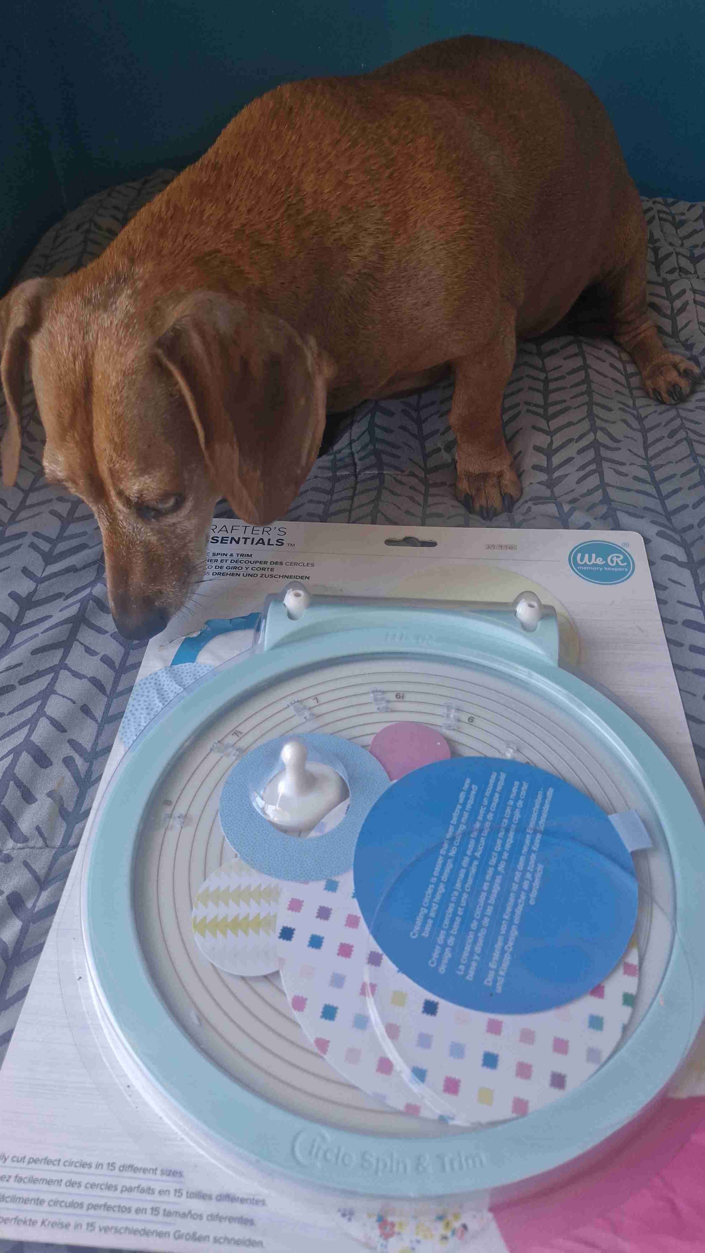 Cutter de círculos We R