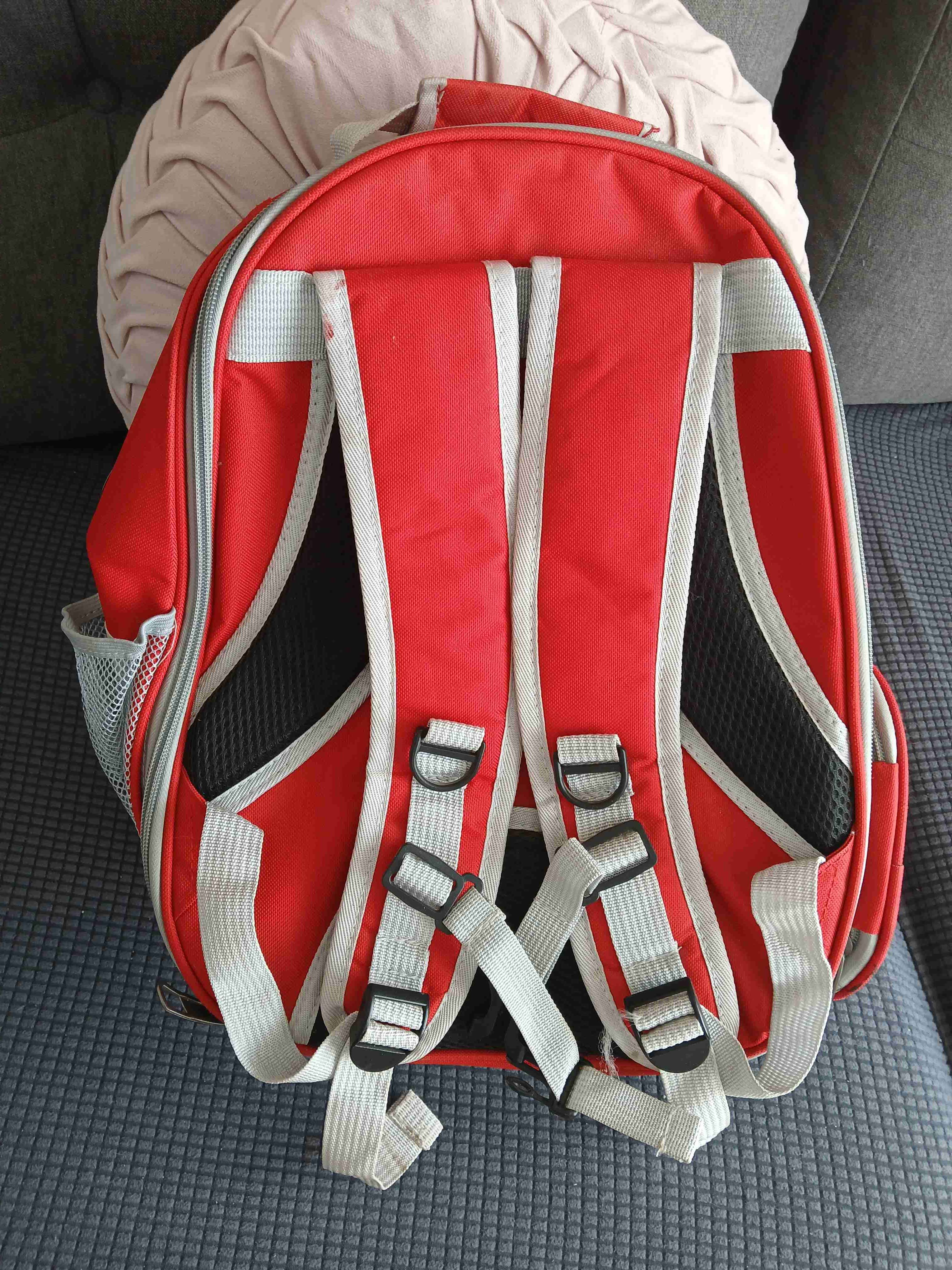 Mochila transportadora para mascotas - 2