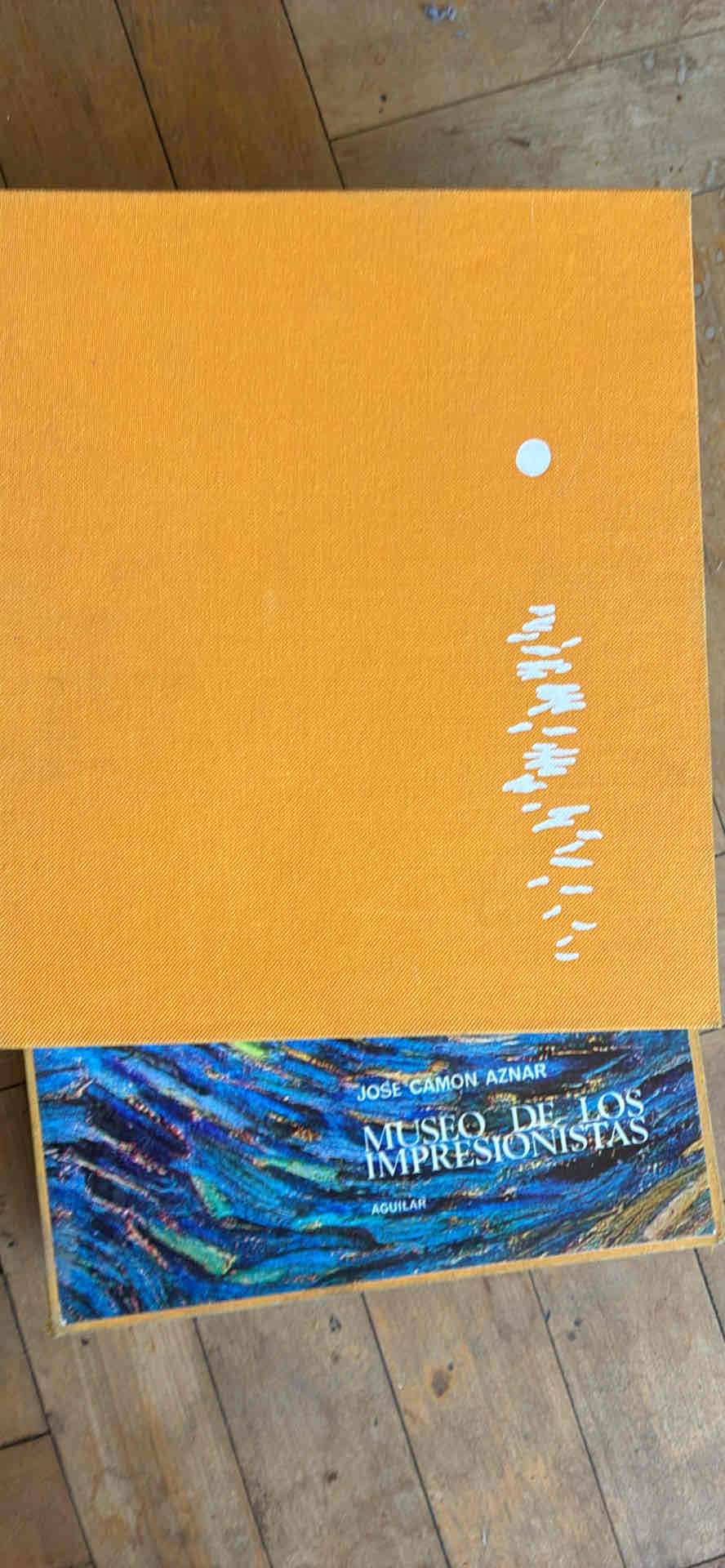 Colección de libros sobre museos - miniatura 6