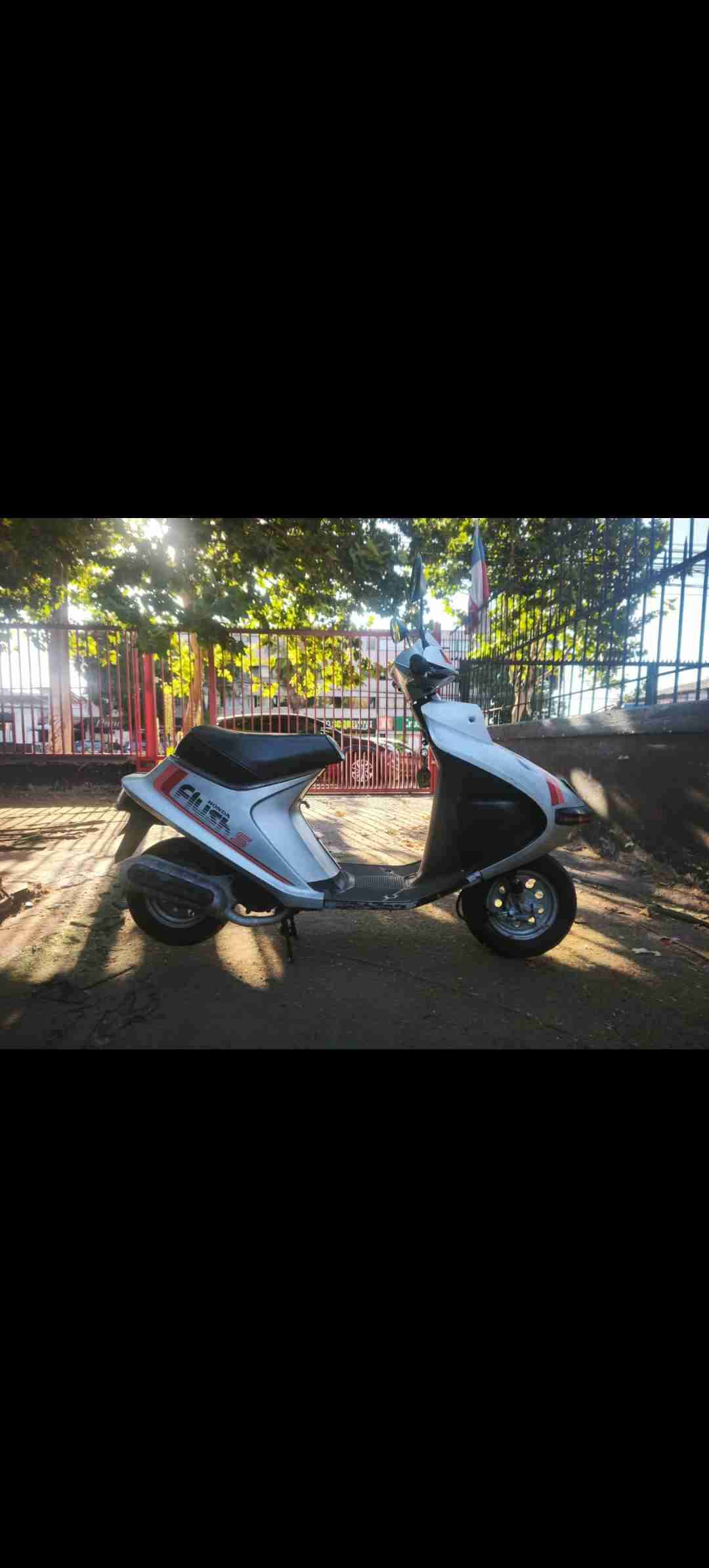 Scooter honda flush 1983 - miniatura 2